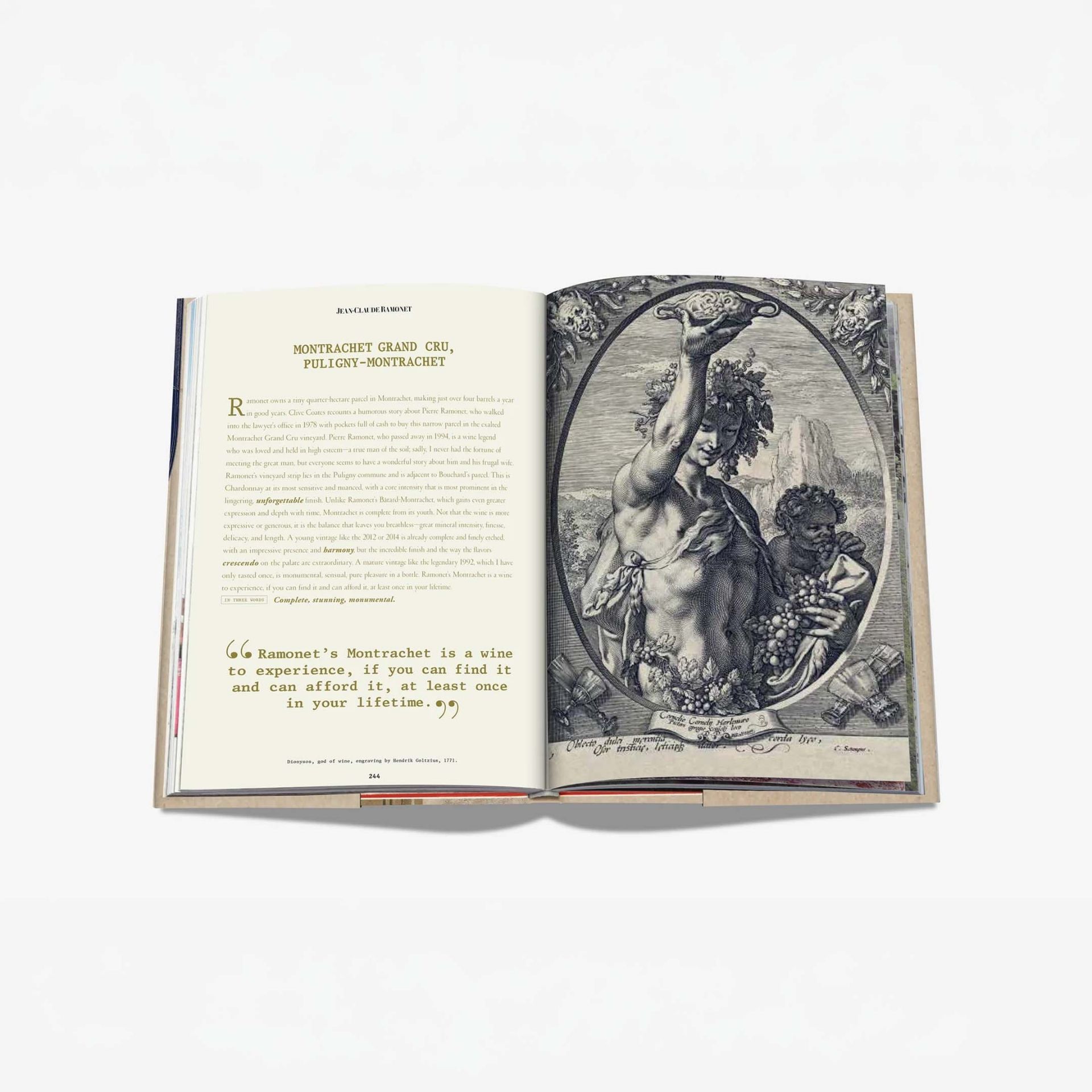 ASSOULINE Libro The 100 Burgundy: Exceptional Wines to Build a Dream Cellar 19 x 3 x H 28 CM 9781614288084