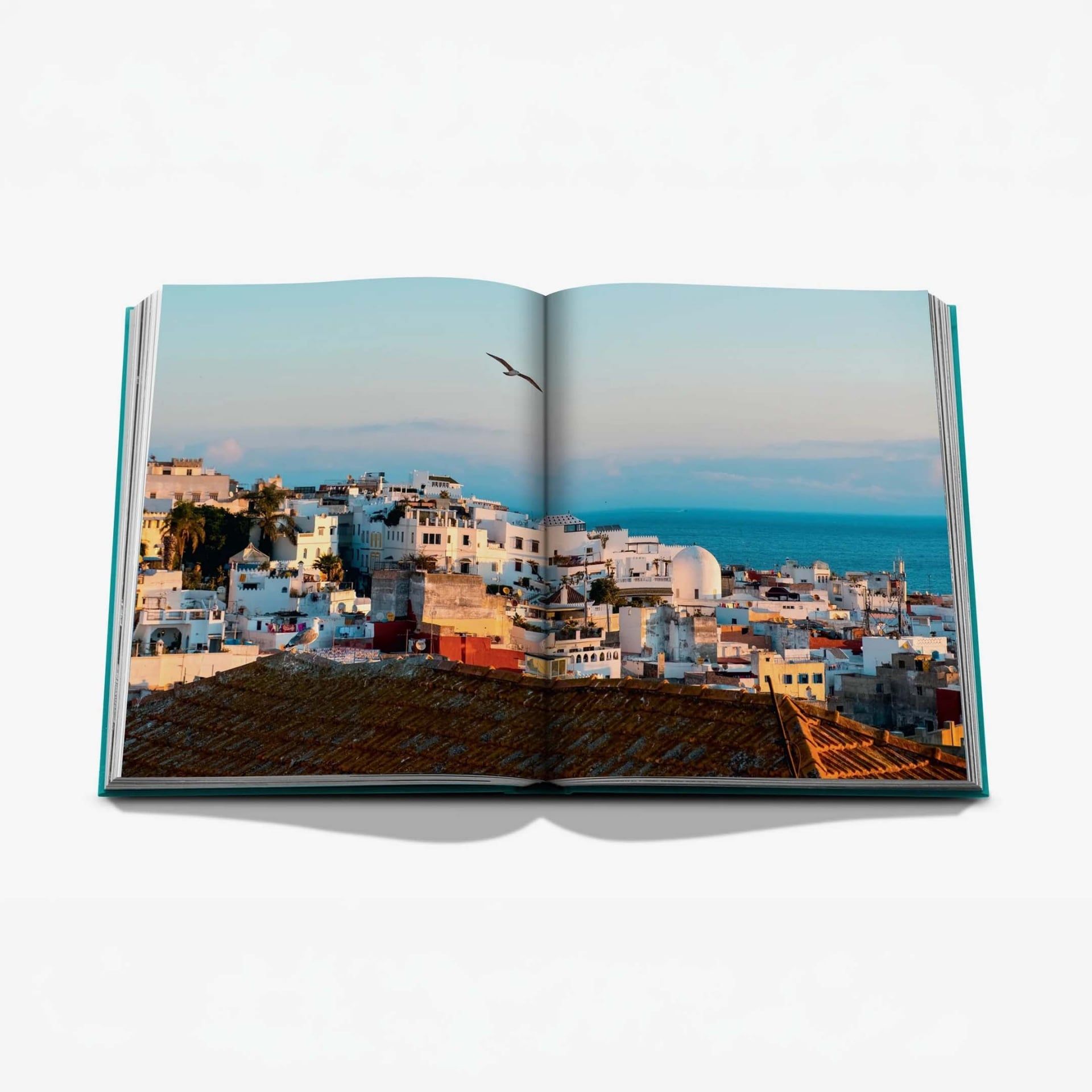ASSOULINE Libro Tangier Tangerine 25 x 4 x H 33 CM 9781649806802