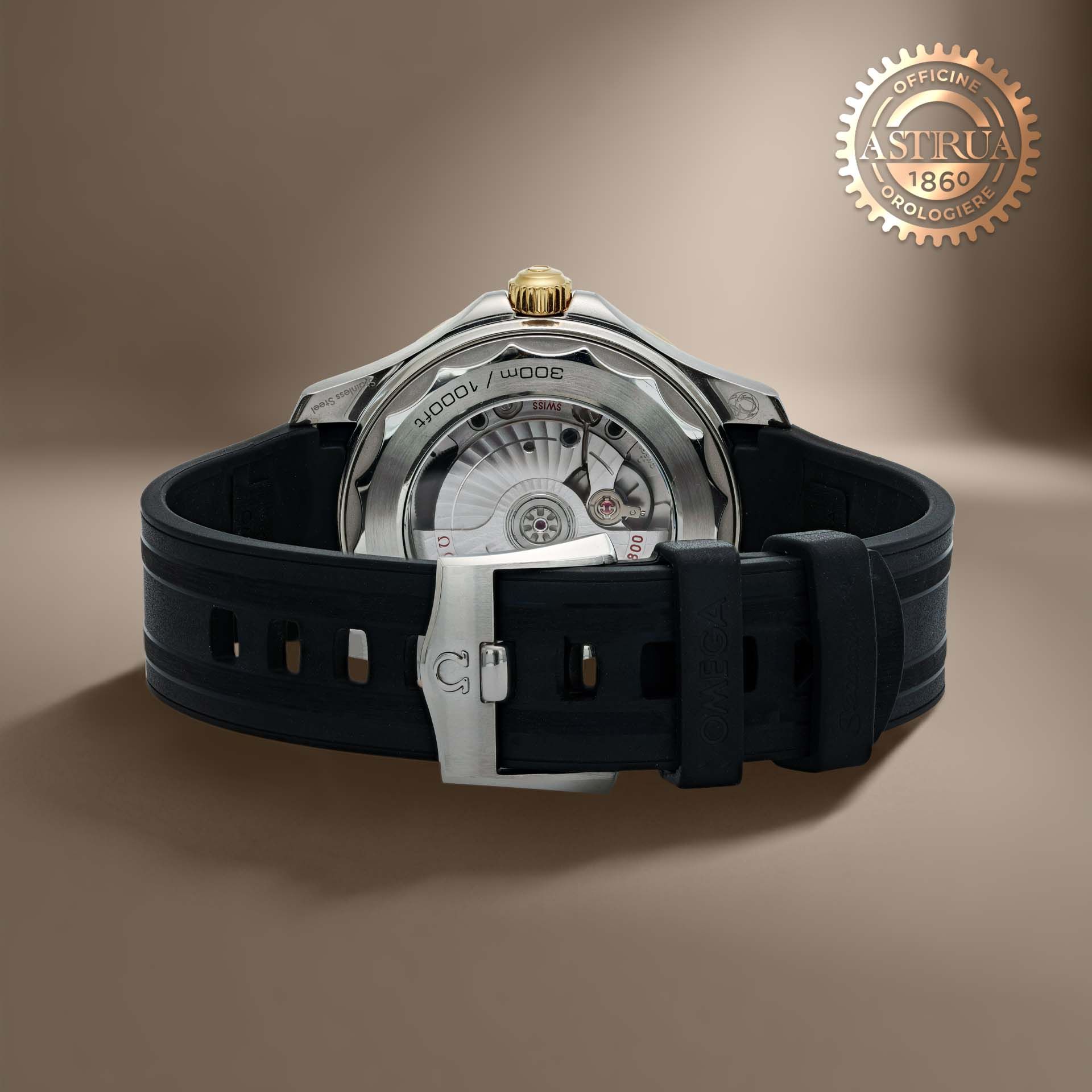 OMEGA Seamaster Diver 300M 42 MM 210.22.42.20.01.002