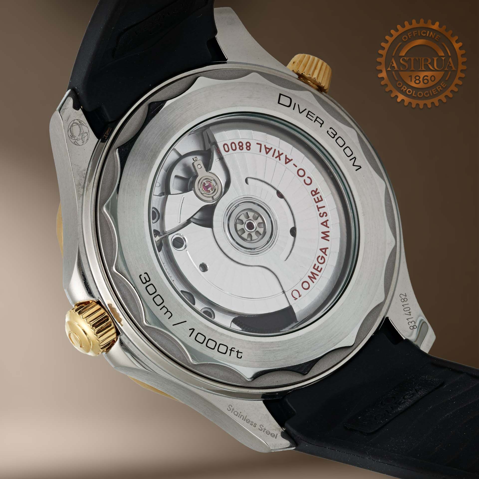 OMEGA Seamaster Diver 300M 42 MM 210.22.42.20.01.002