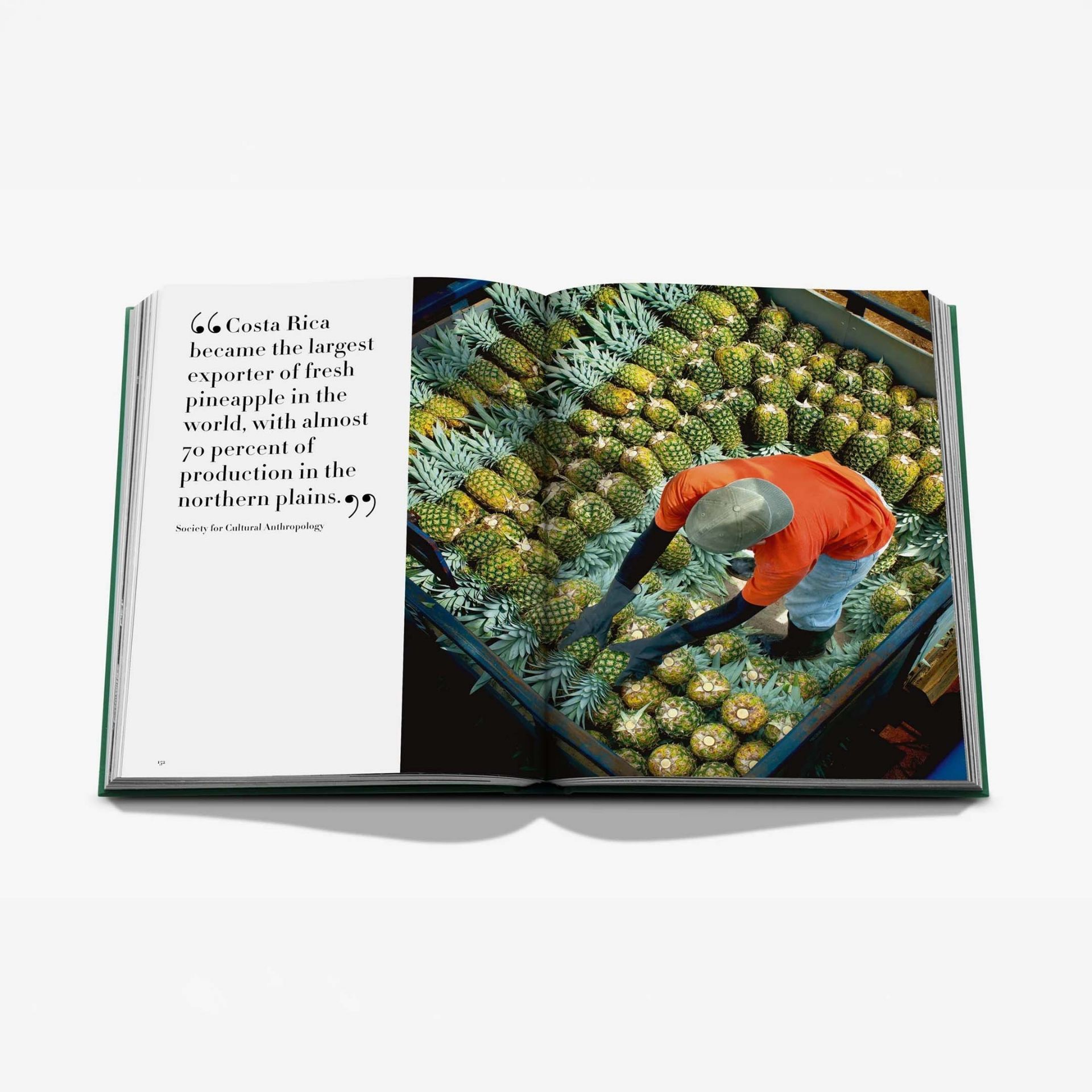 ASSOULINE Libro Costa Rica Vida 25 x 4 x H 33 CM 9781649806758