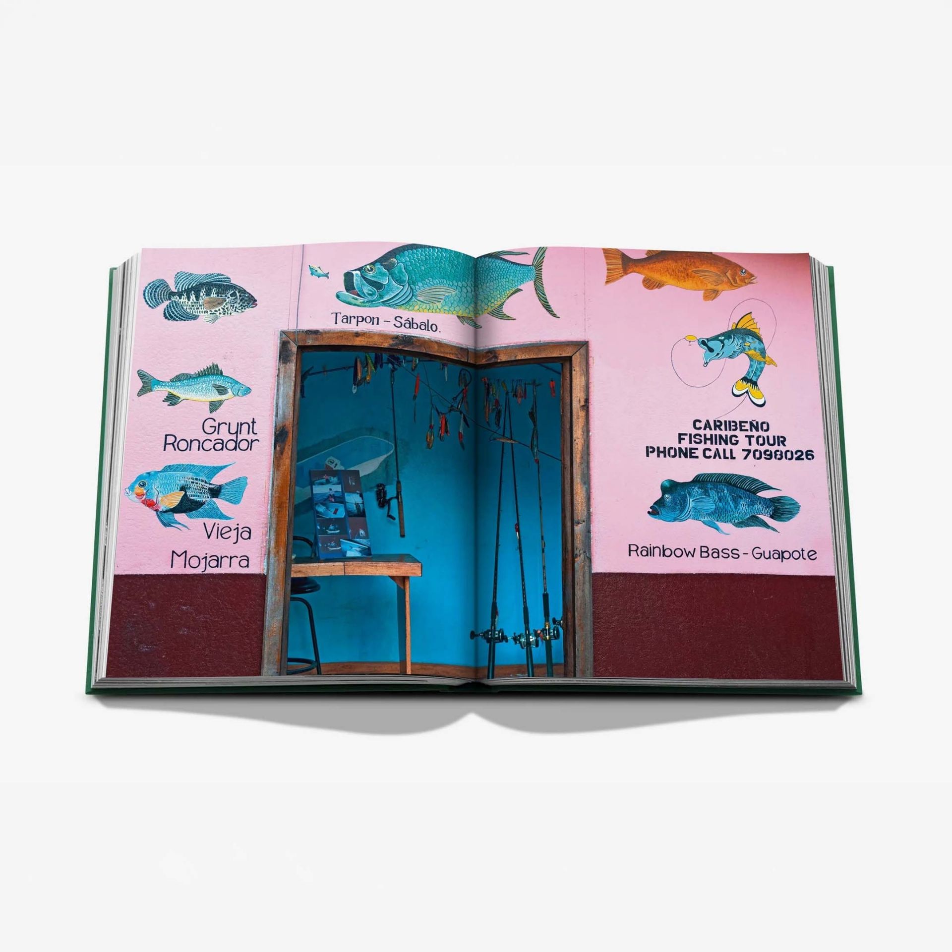 ASSOULINE Libro Costa Rica Vida 25 x 4 x H 33 CM 9781649806758