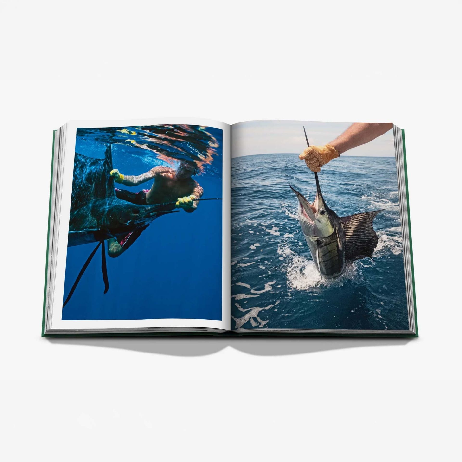 ASSOULINE Libro Costa Rica Vida 25 x 4 x H 33 CM 9781649806758