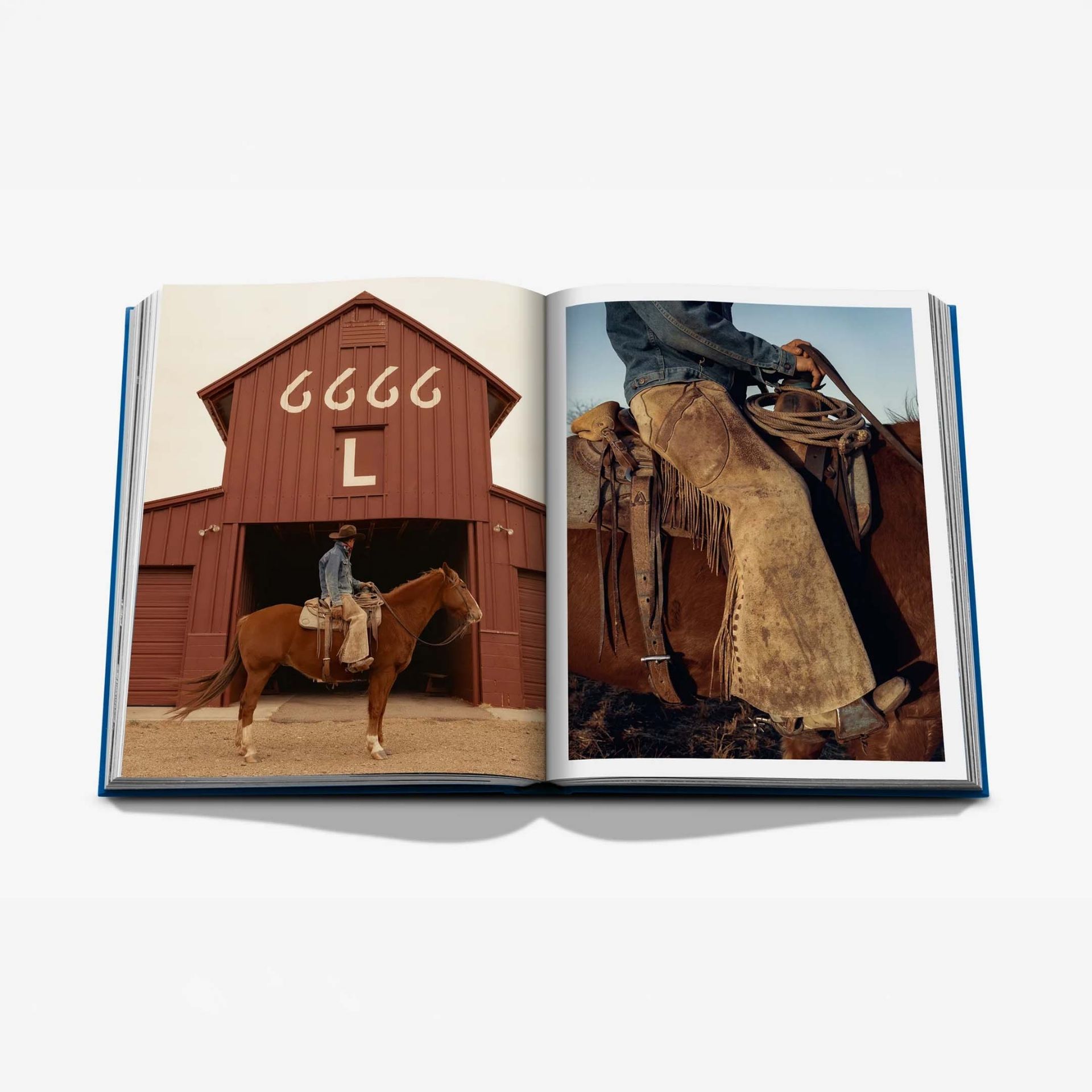 ASSOULINE Libro Texas Star 25 x 4 x H 33 CM 9781649806741