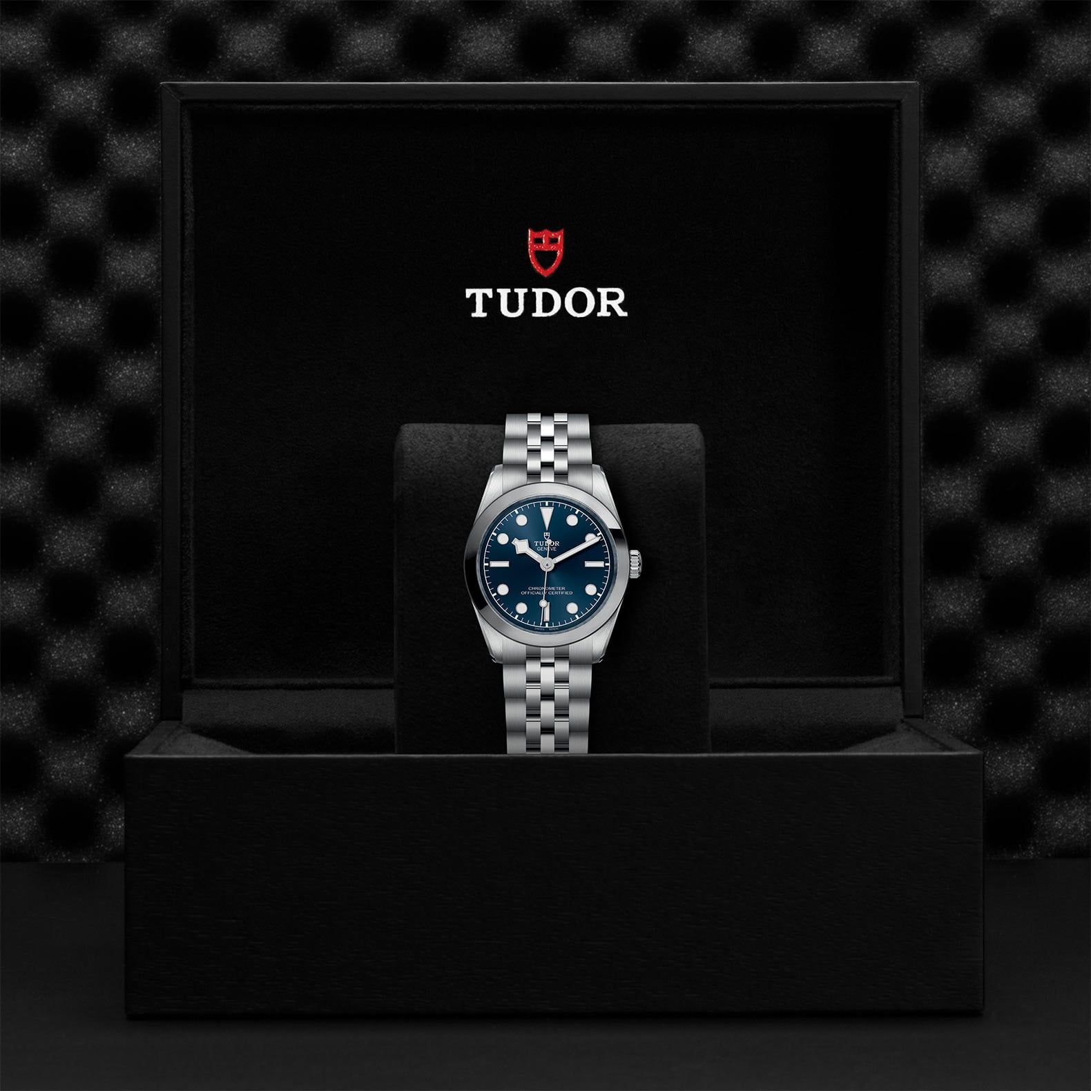 TUDOR Black Bay 31 31 MM M79600-0002