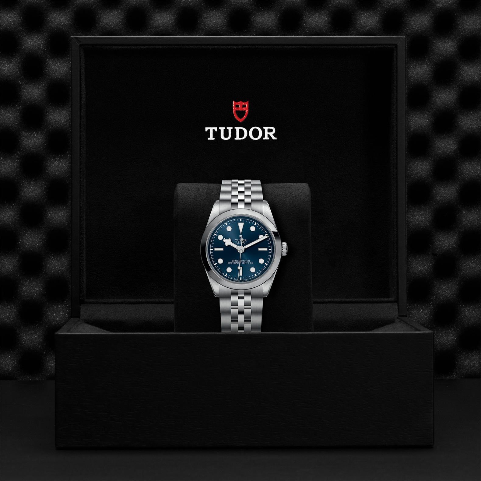 TUDOR Black Bay 36 36 MM M79640-0002