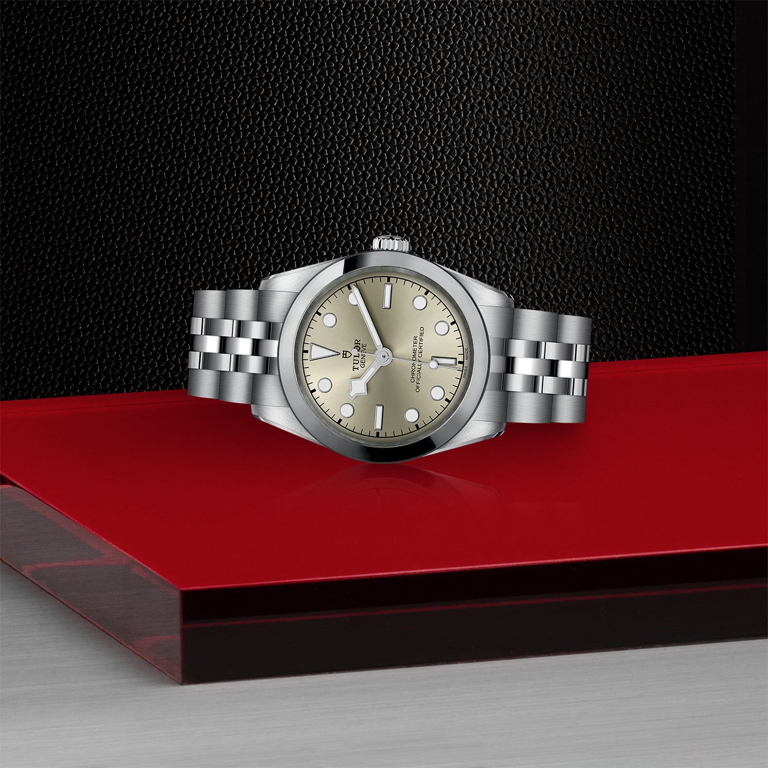 TUDOR Black Bay 31 31 MM M79600-0003