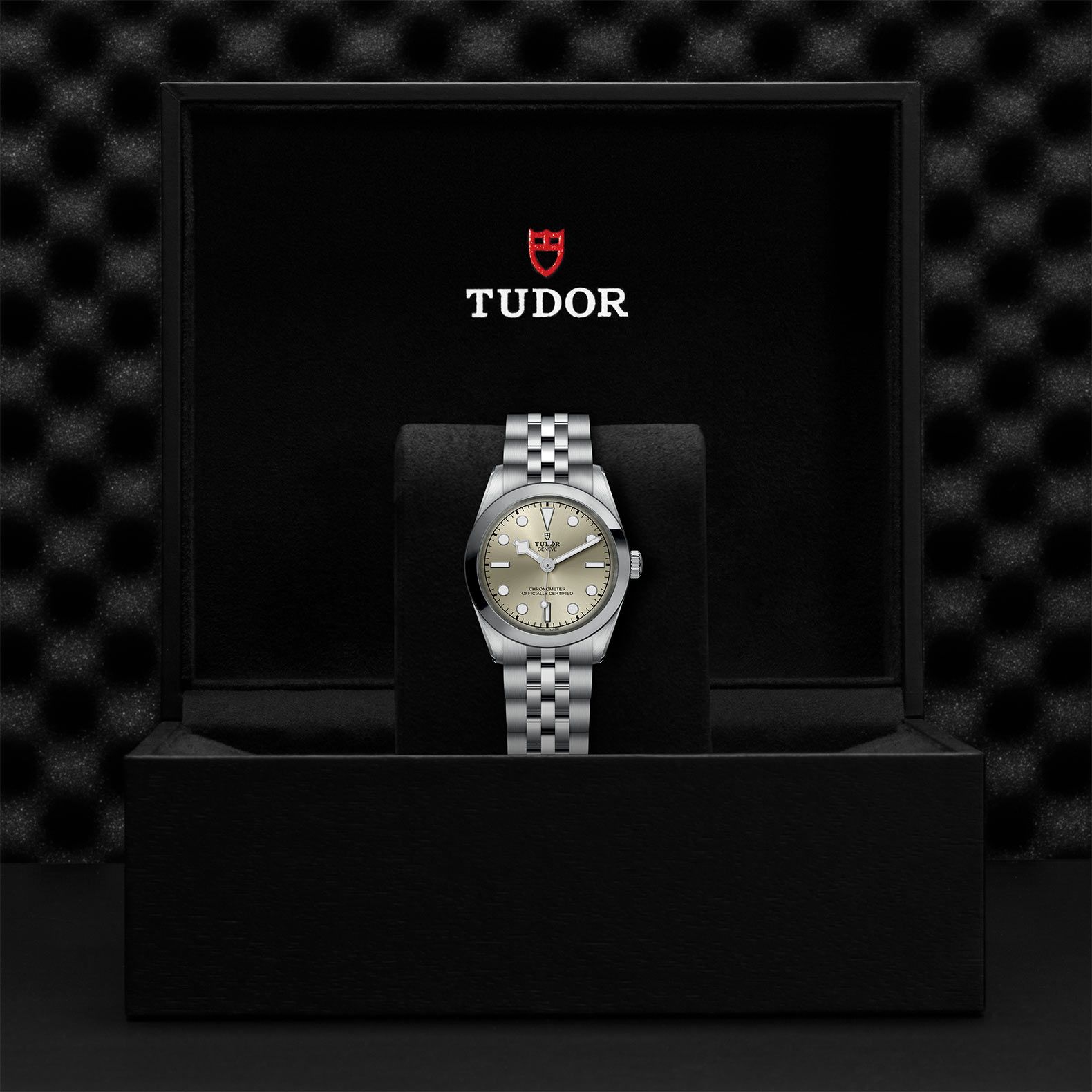 TUDOR Black Bay 31 31 MM M79600-0003
