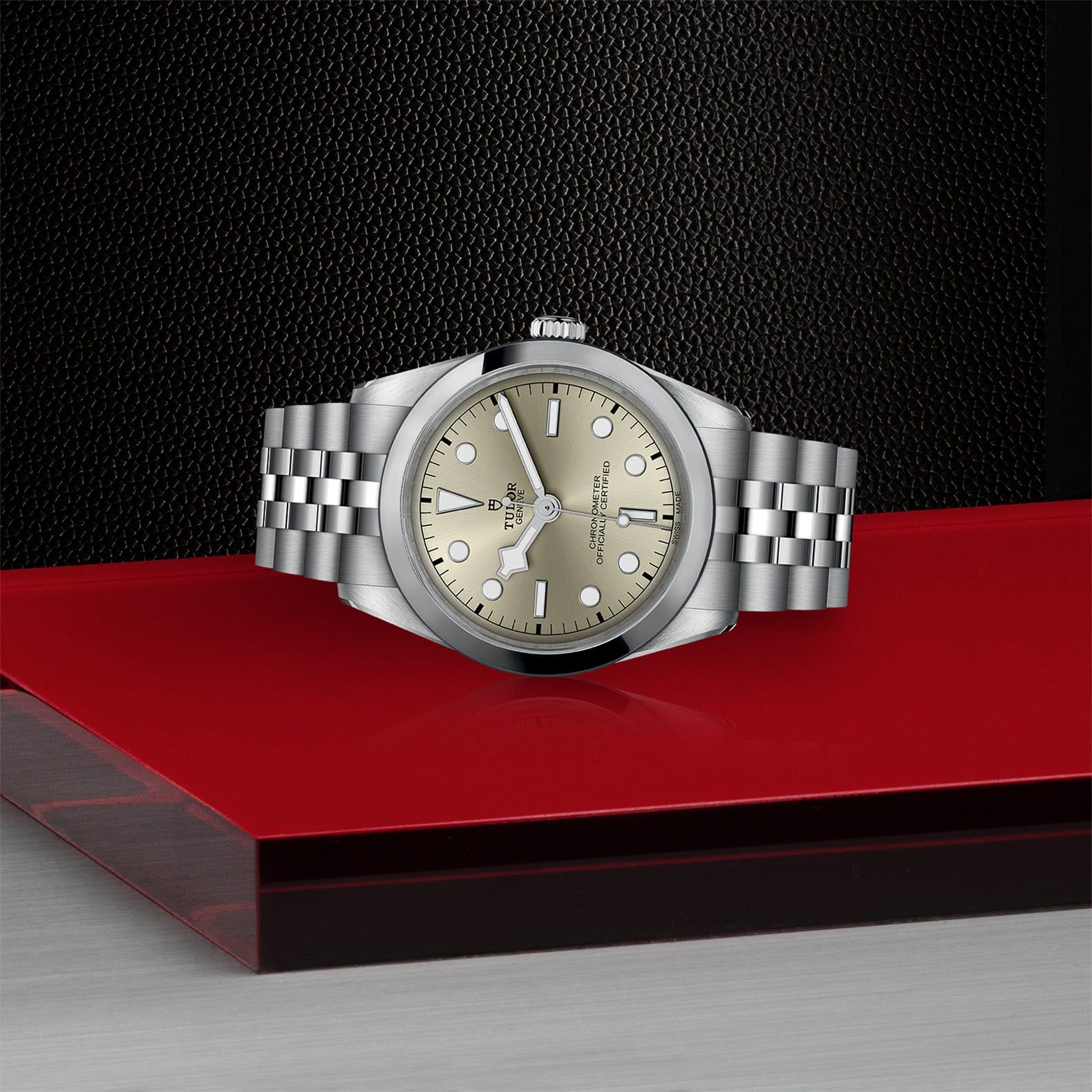 TUDOR Black Bay 36 36 MM M79640-0003