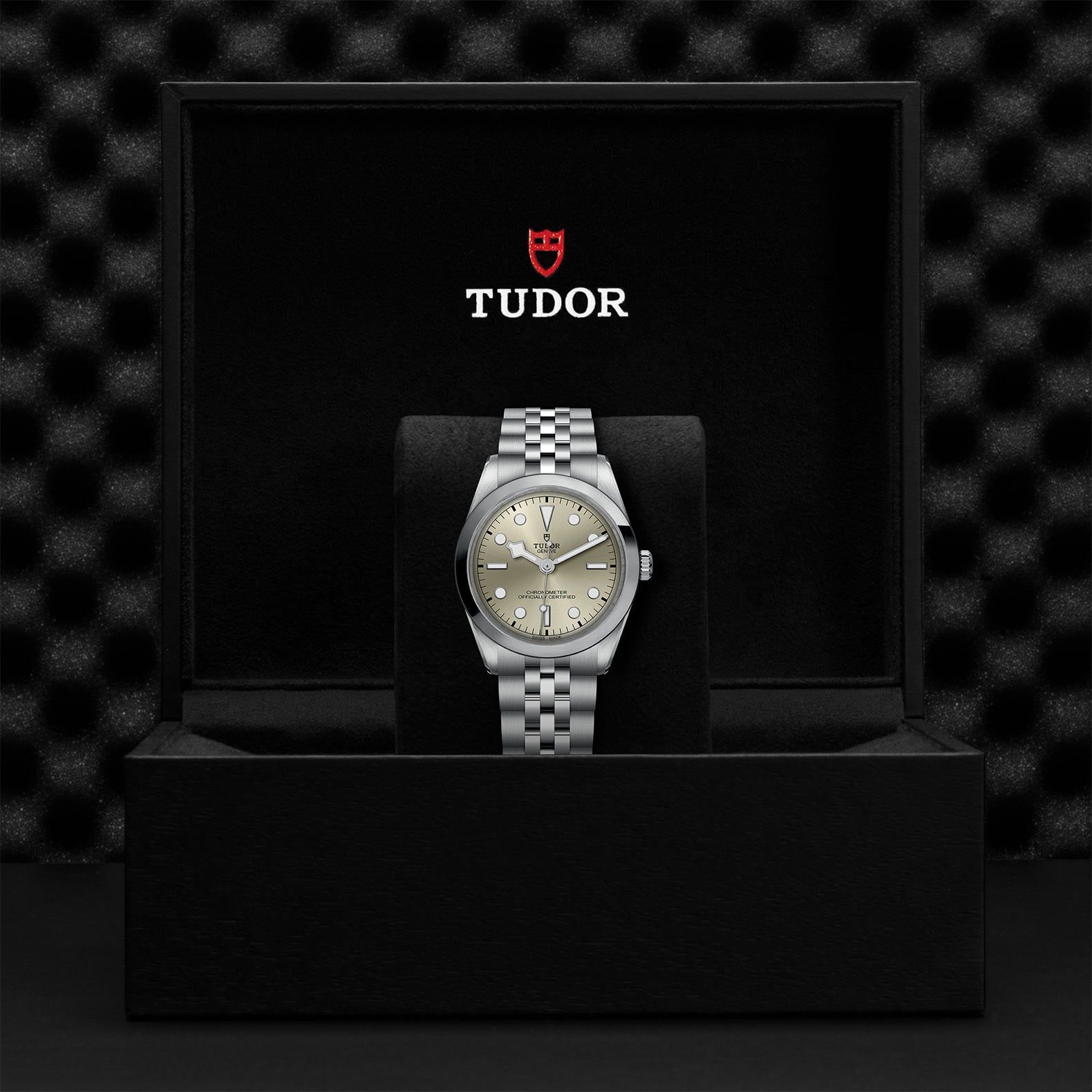TUDOR Black Bay 36 36 MM M79640-0003