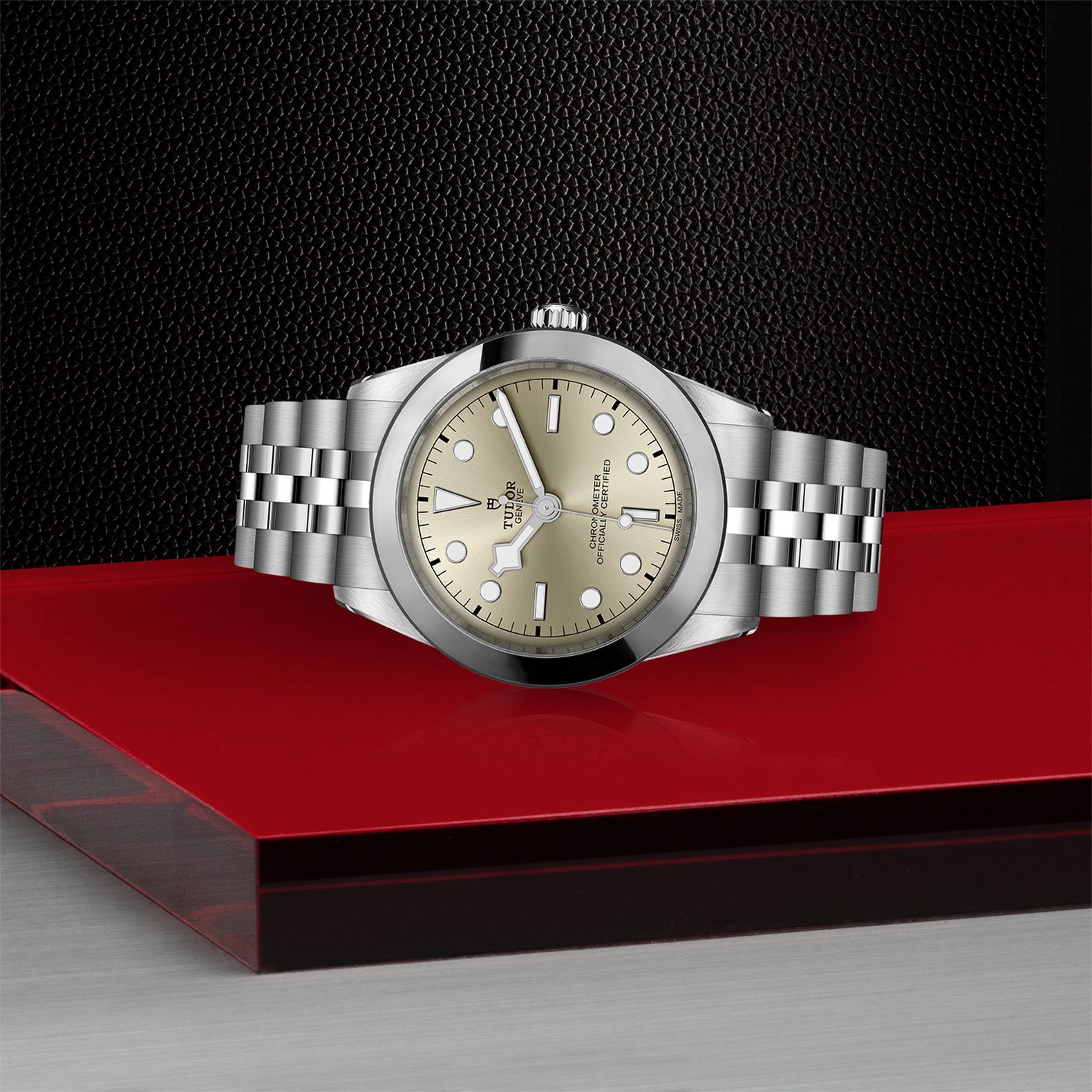 TUDOR Black Bay 39 39 MM M79660-0003