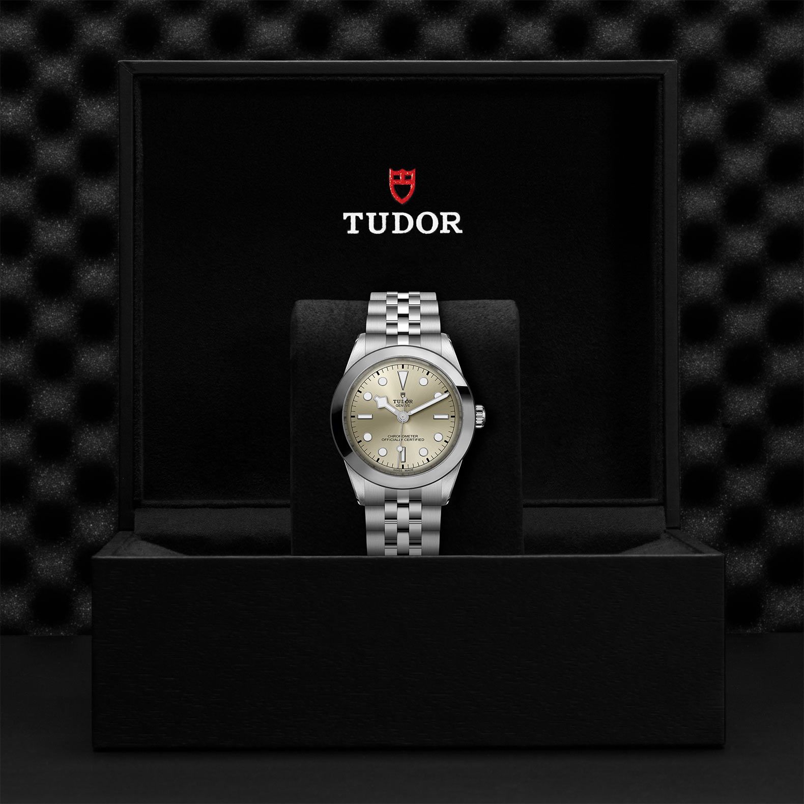 TUDOR Black Bay 39 39 MM M79660-0003