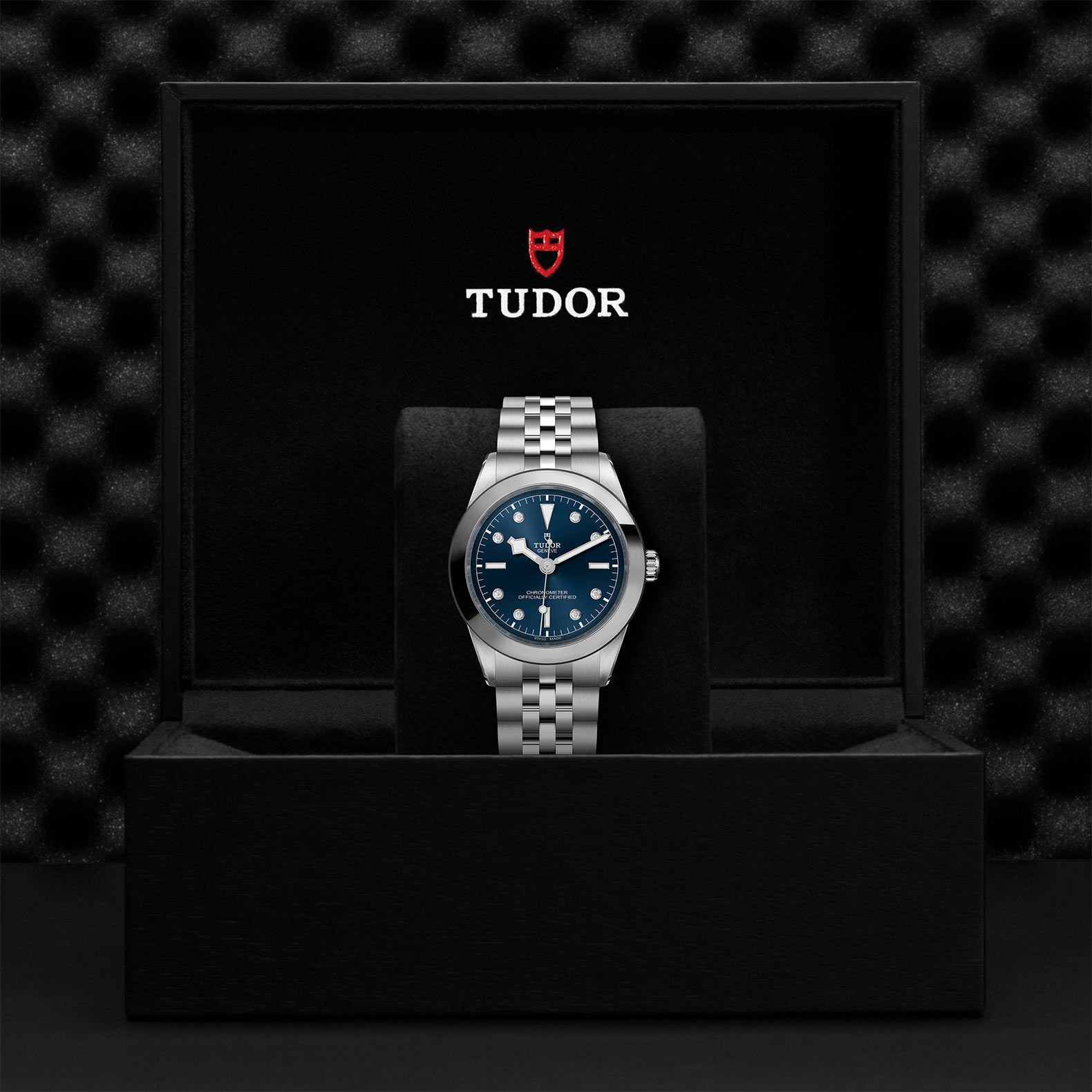 TUDOR Black Bay 39 39 MM M79660-0005