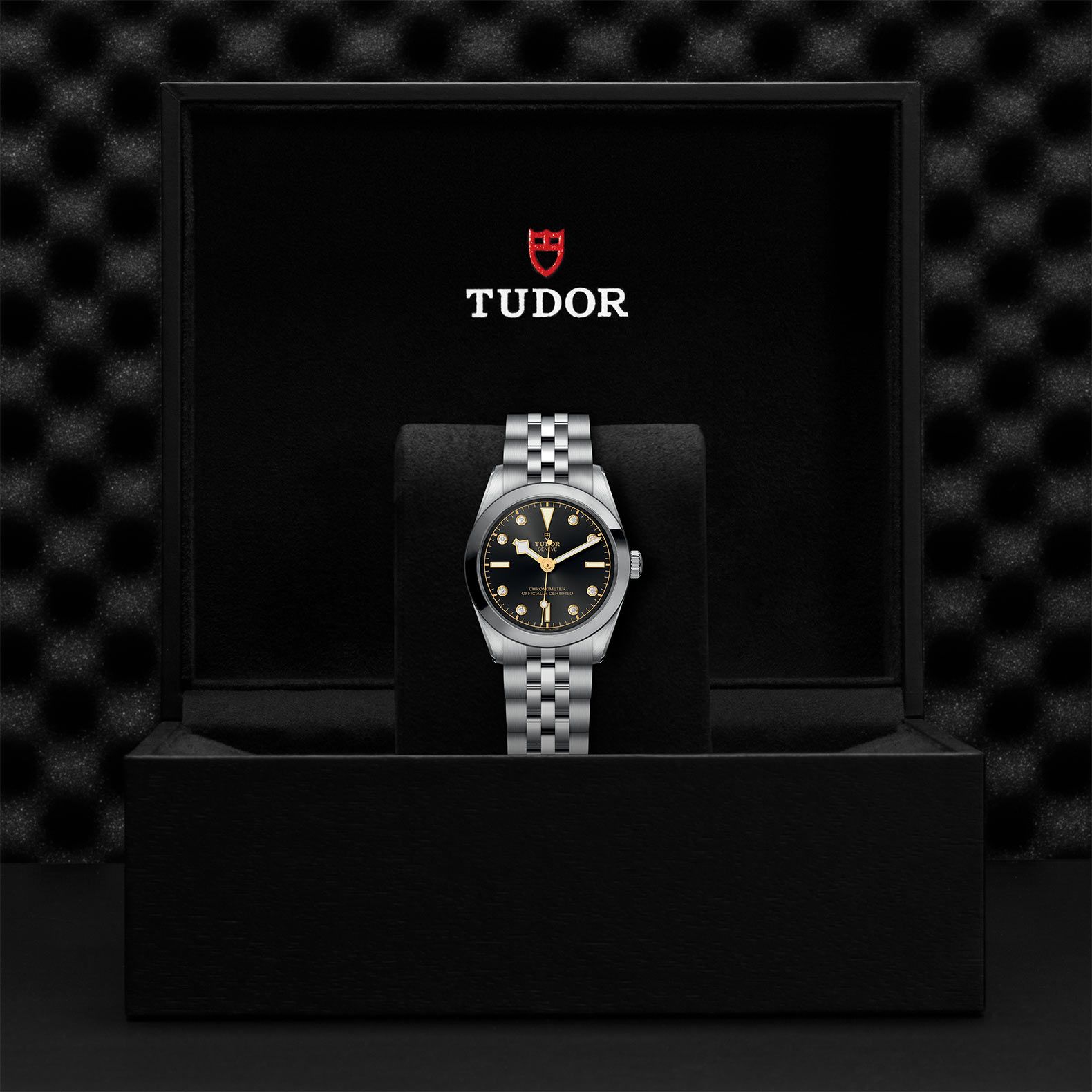 TUDOR Black Bay 31 31 MM M79600-0004
