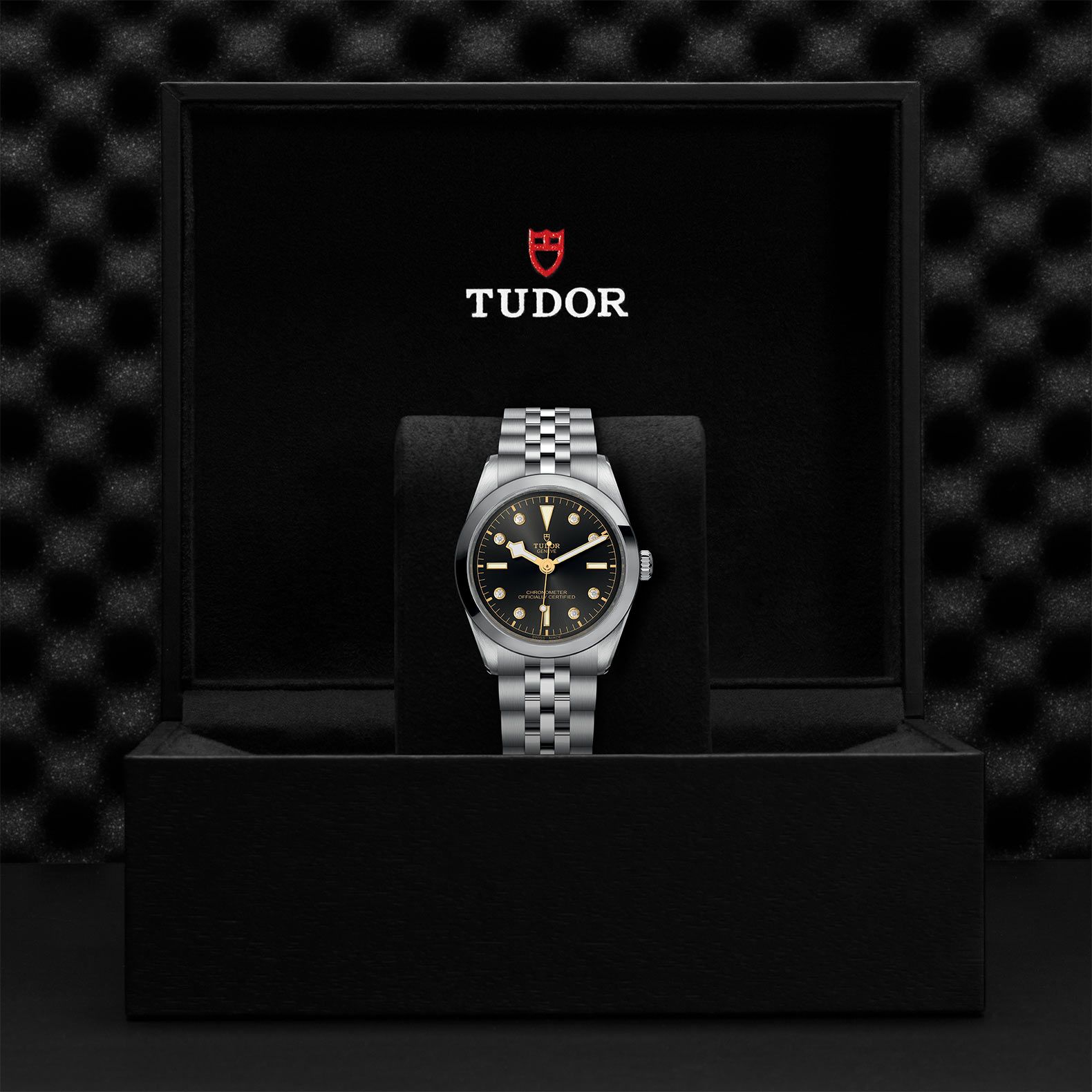 TUDOR Black Bay 36 36 MM M79640-0004