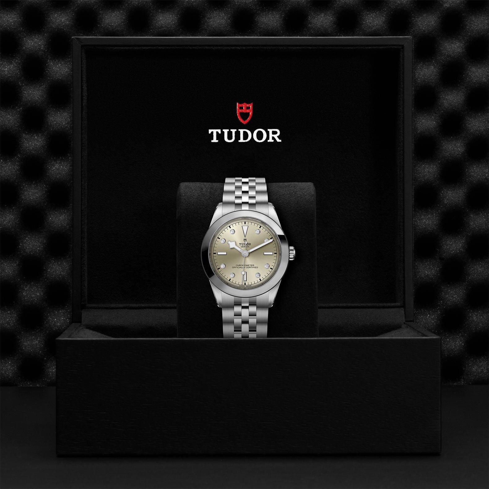 TUDOR Black Bay 39 39 MM M79660-0006