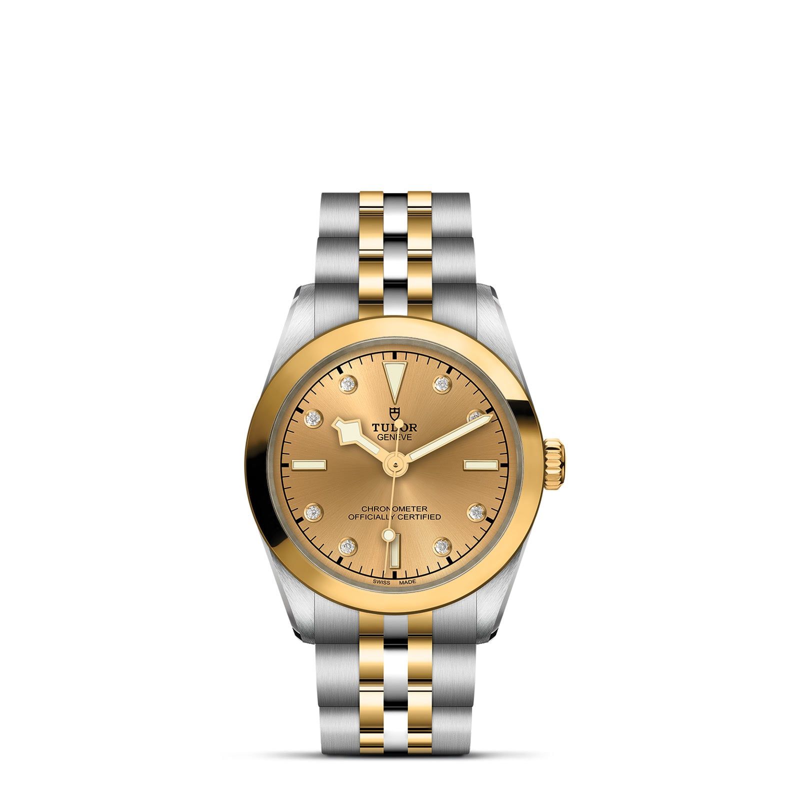 TUDOR Black Bay 31 S&G 31 MM M79603-0008