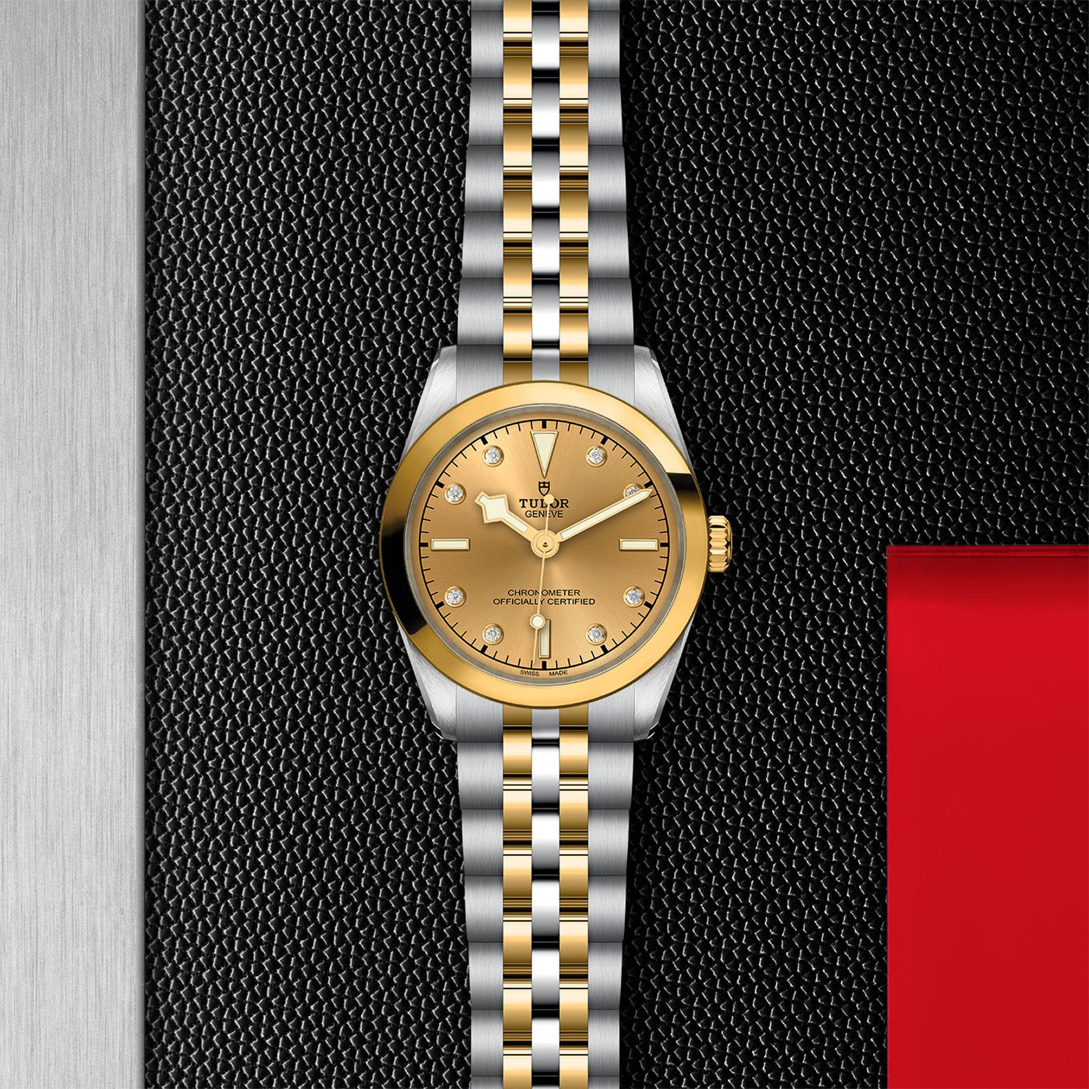 TUDOR Black Bay 31 S&G 31 MM M79603-0008
