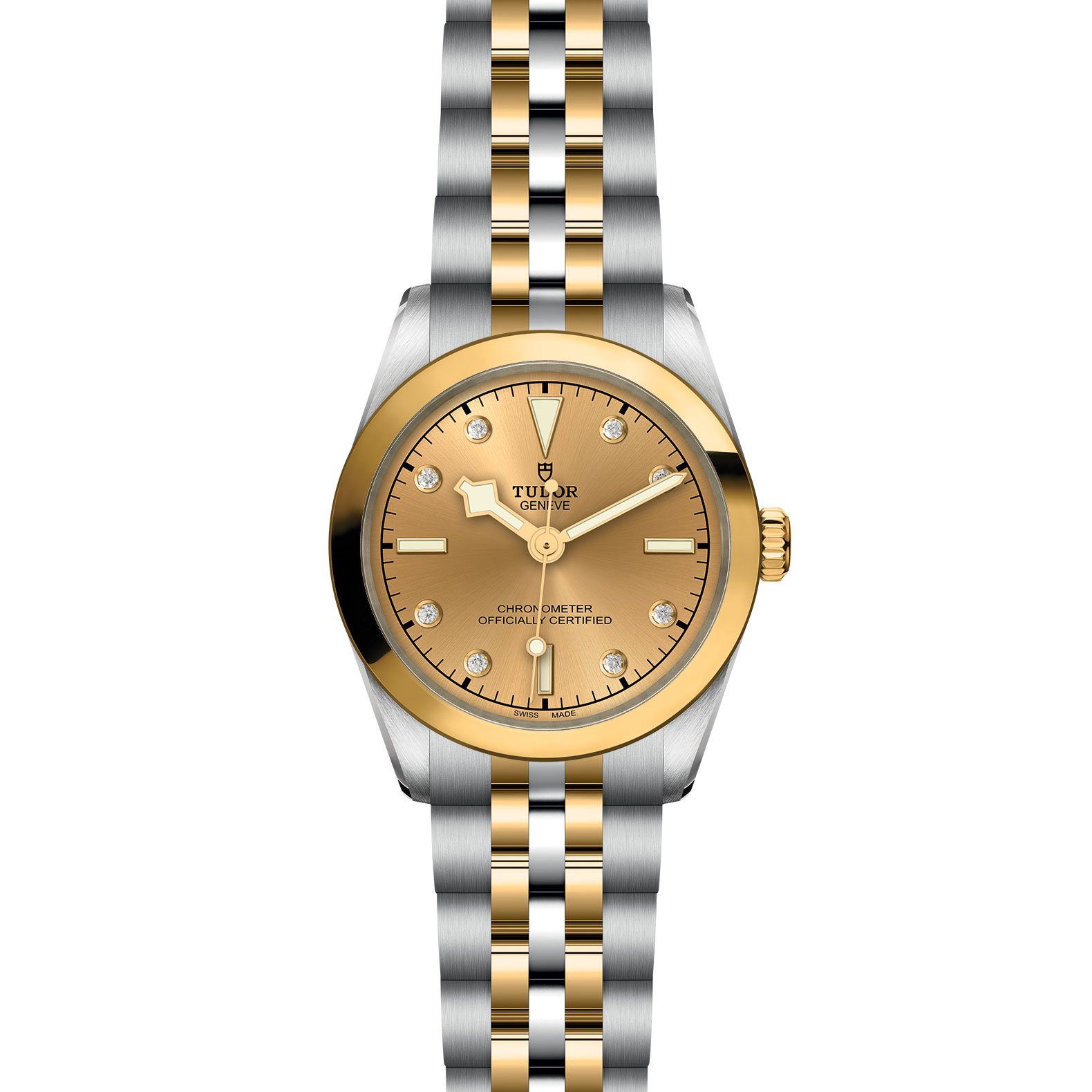 TUDOR Black Bay 31 S&G 31 MM M79603-0008
