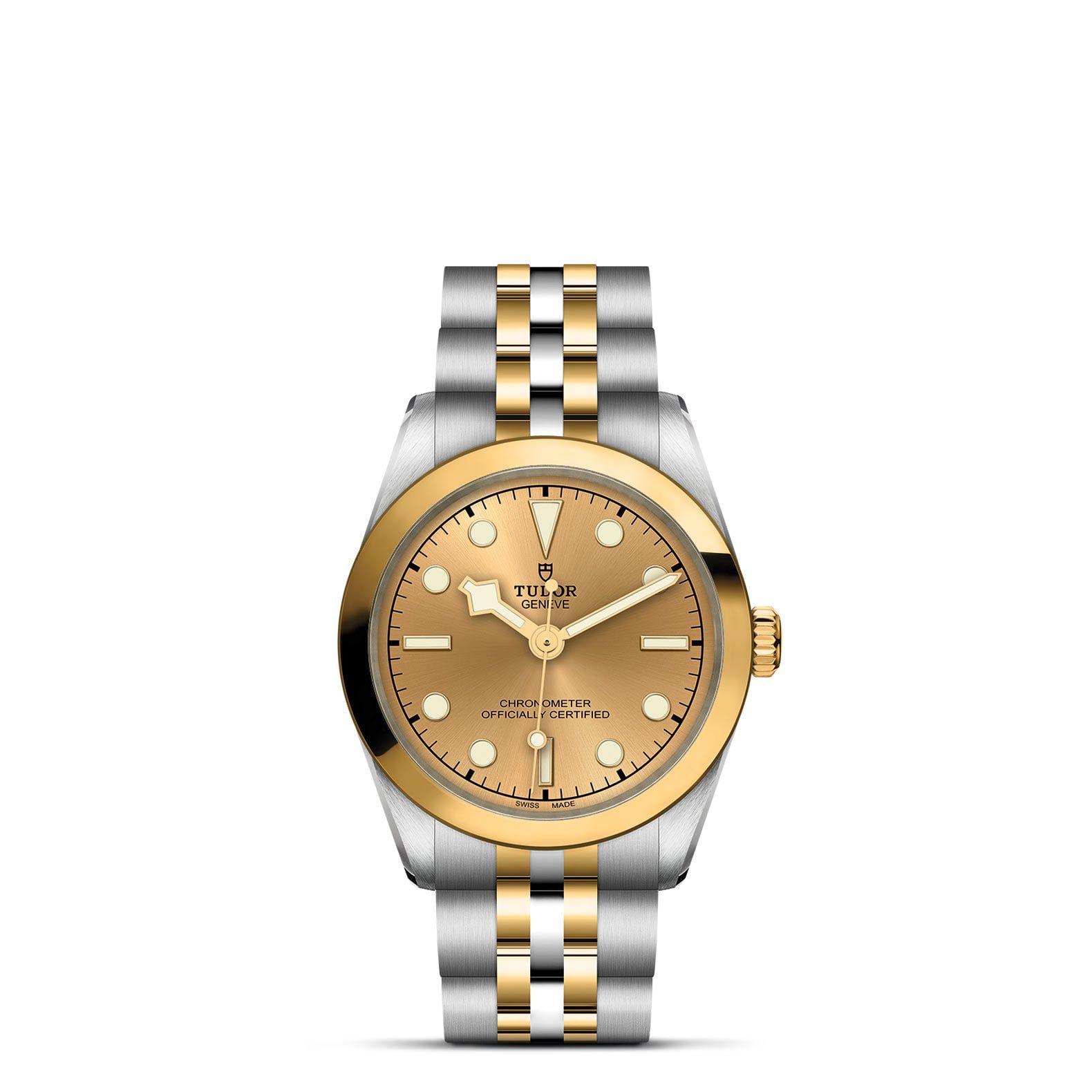TUDOR Black Bay 31 S&G 31 MM M79603-0005