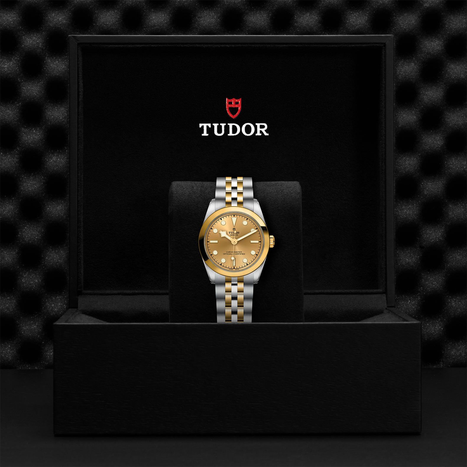 TUDOR Black Bay 31 S&G 31 MM M79603-0005