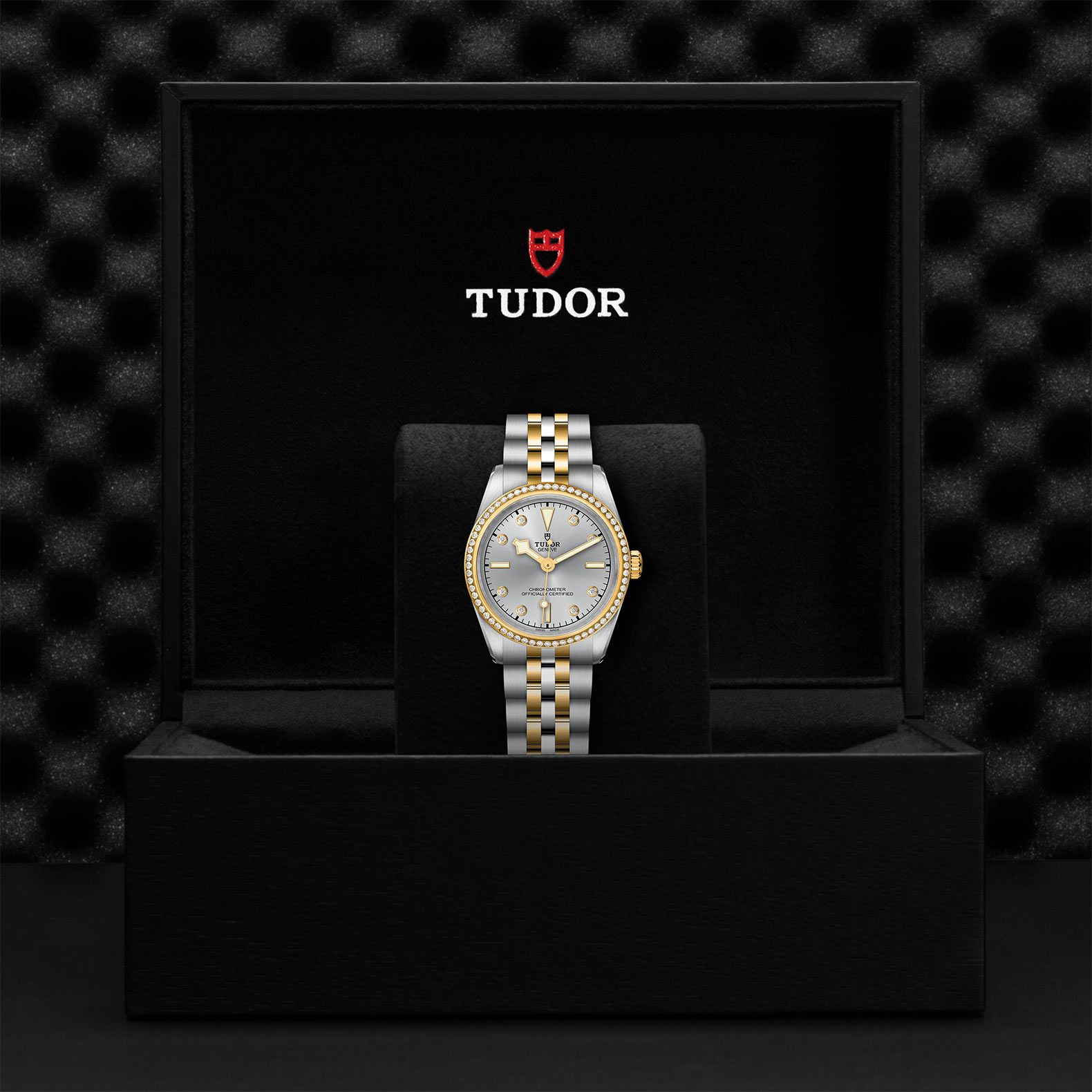 TUDOR Black Bay 31 S&G 31 MM M79613-0006