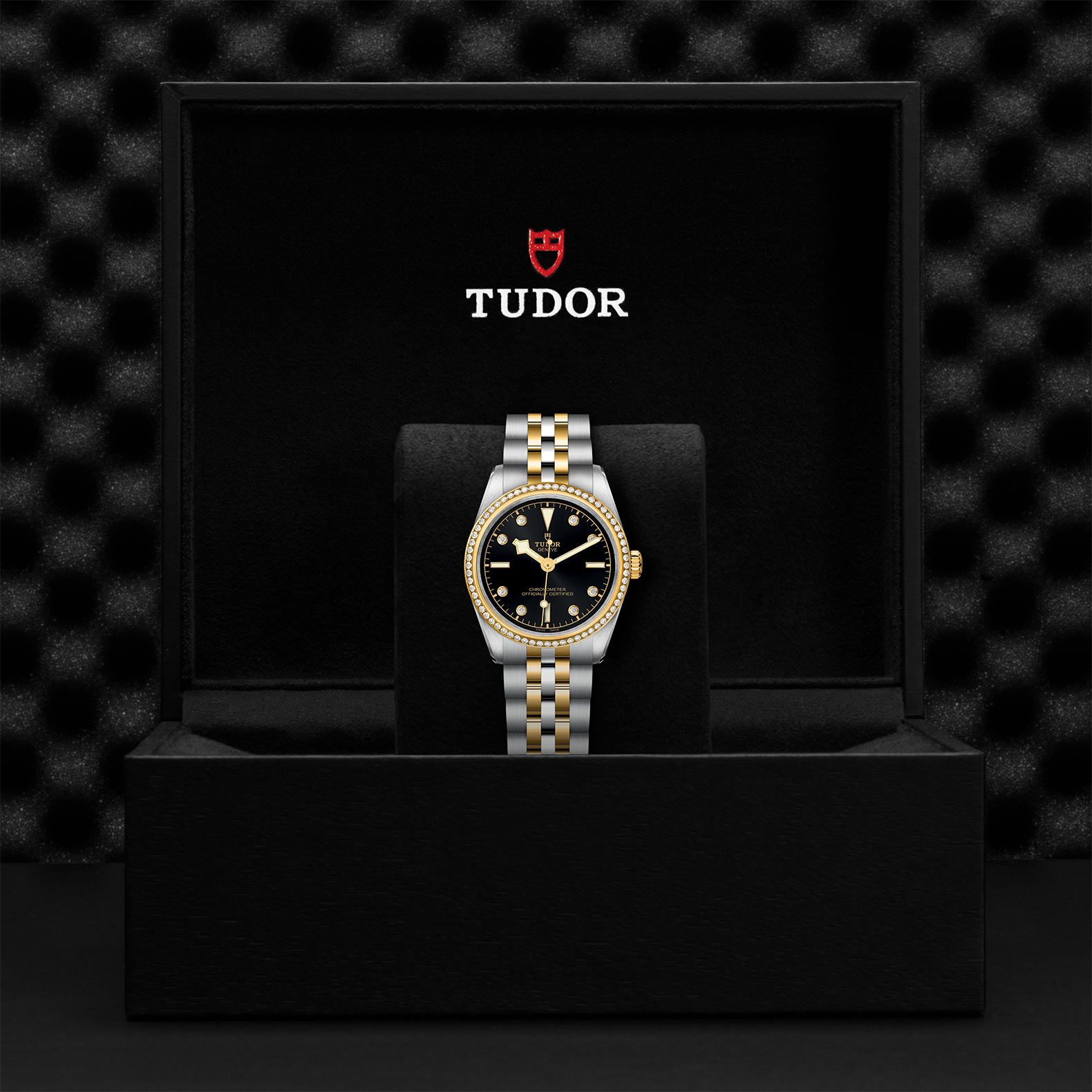 TUDOR Black Bay 31 S&G 31 MM M79613-0005