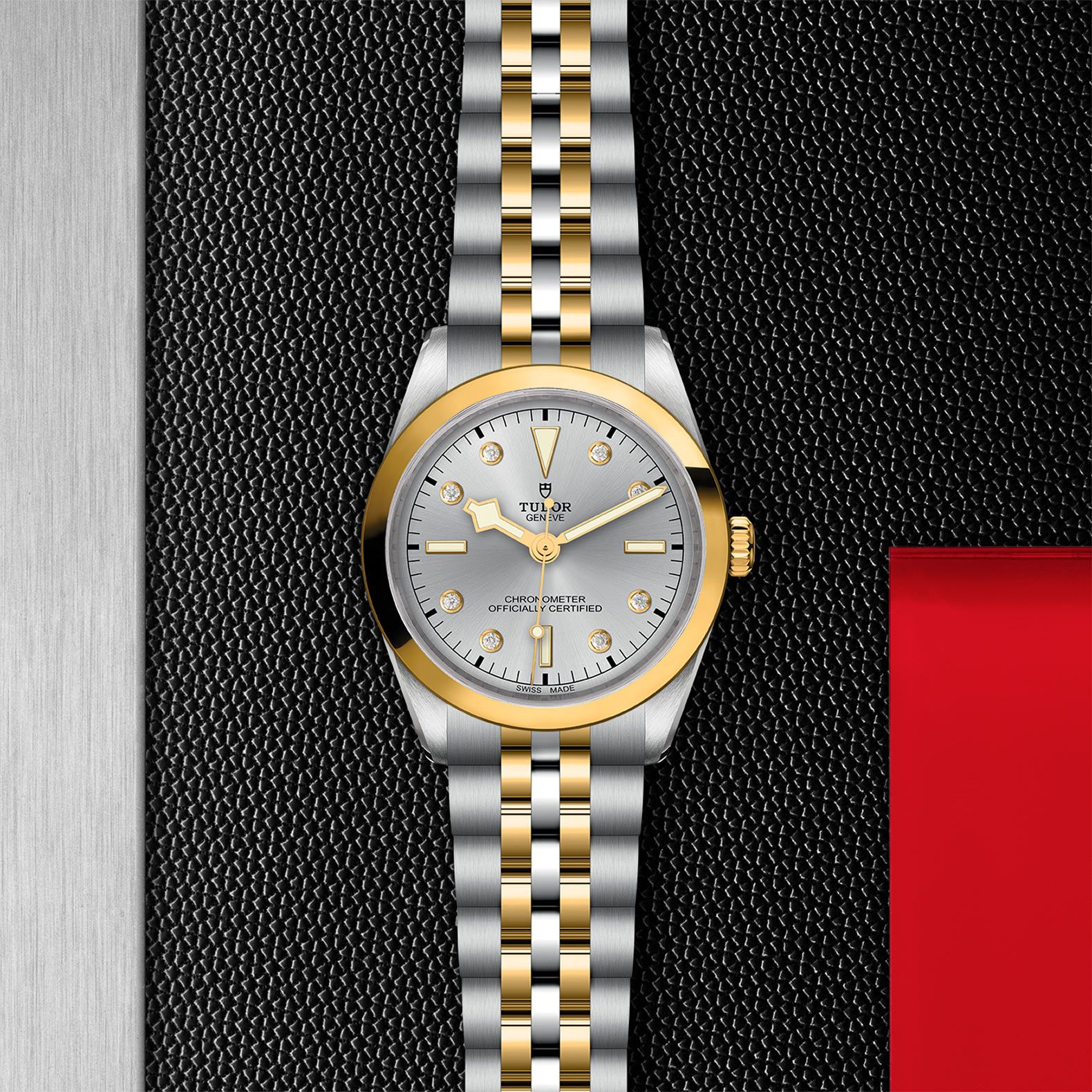 TUDOR Black Bay 36 S&G 36 MM M79643-0007