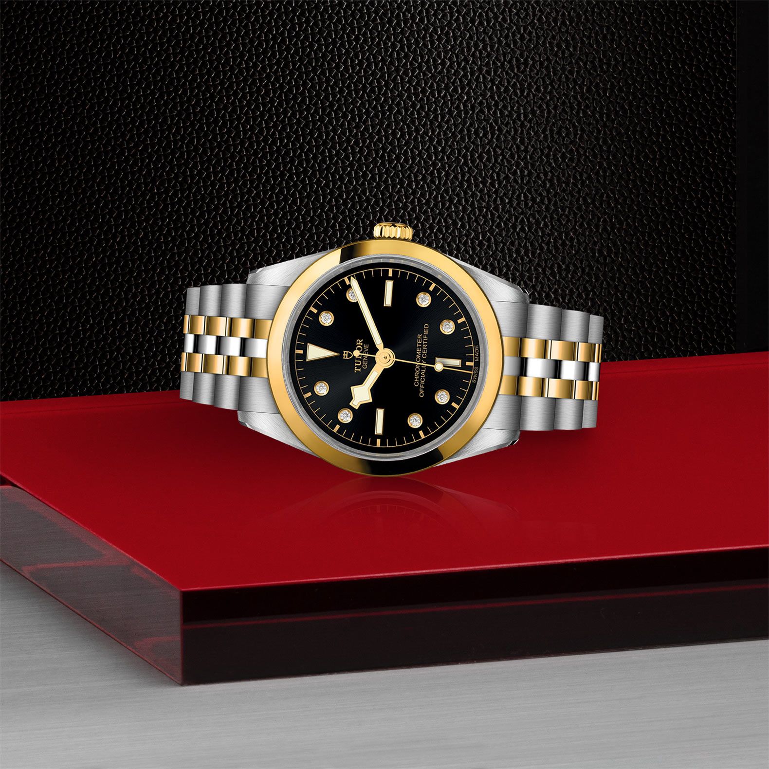 TUDOR Black Bay 36 S&G 36 MM M79643-0006