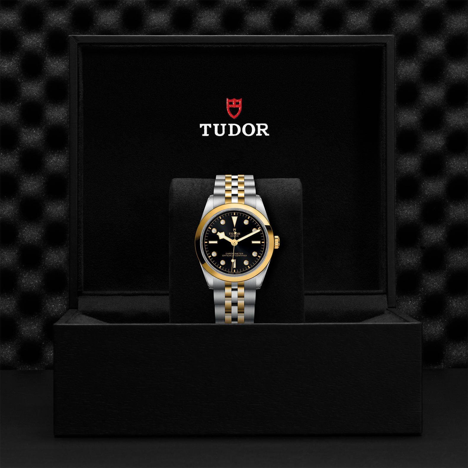 TUDOR Black Bay 36 S&G 36 MM M79643-0006