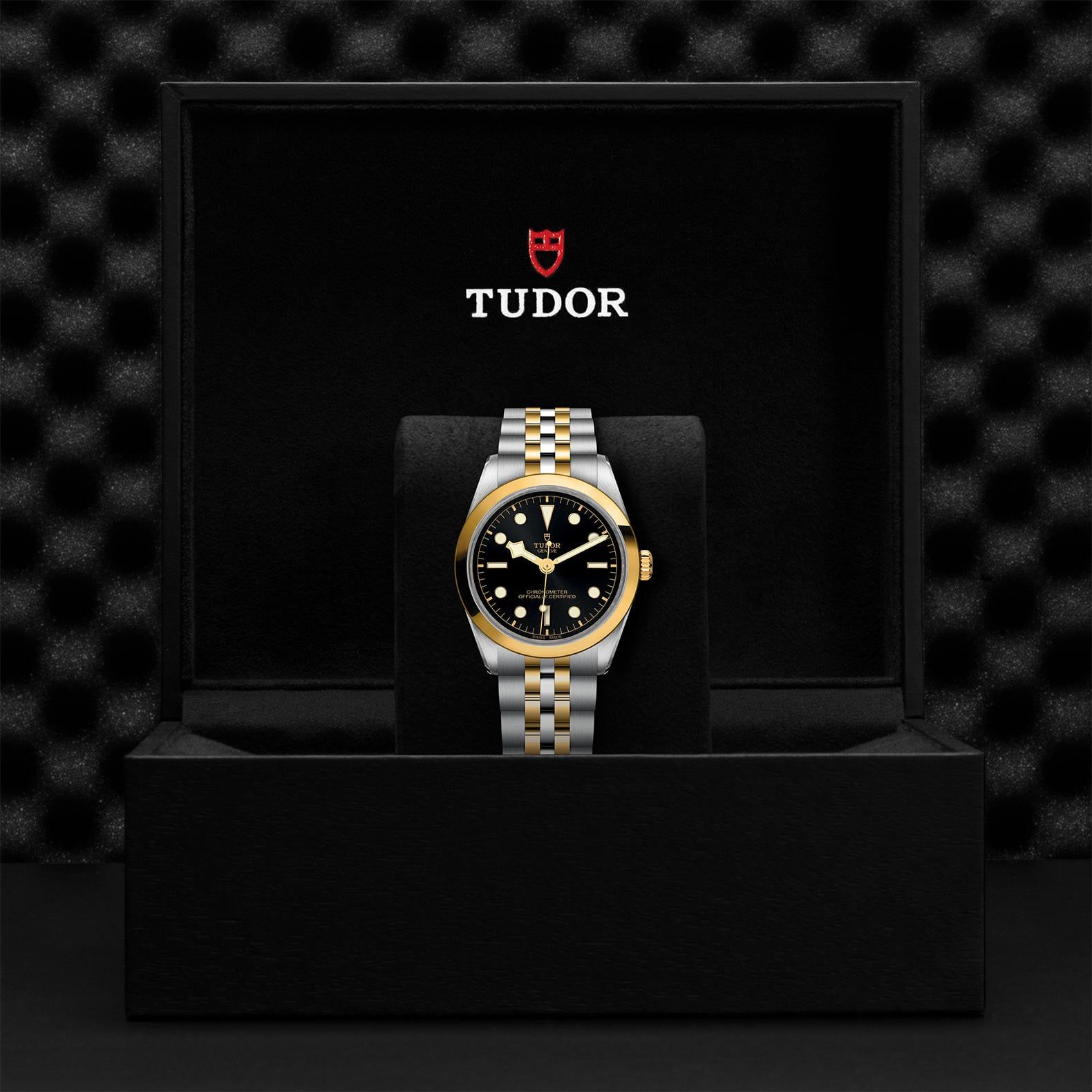 TUDOR Black Bay 36 S&G 36 MM M79643-0001