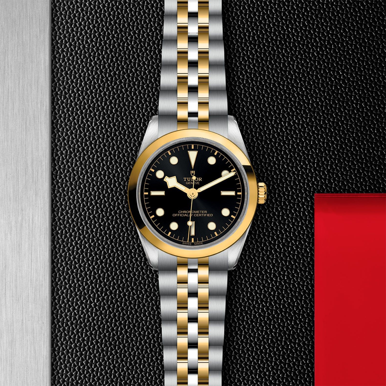 TUDOR Black Bay 36 S&G 36 MM M79643-0001