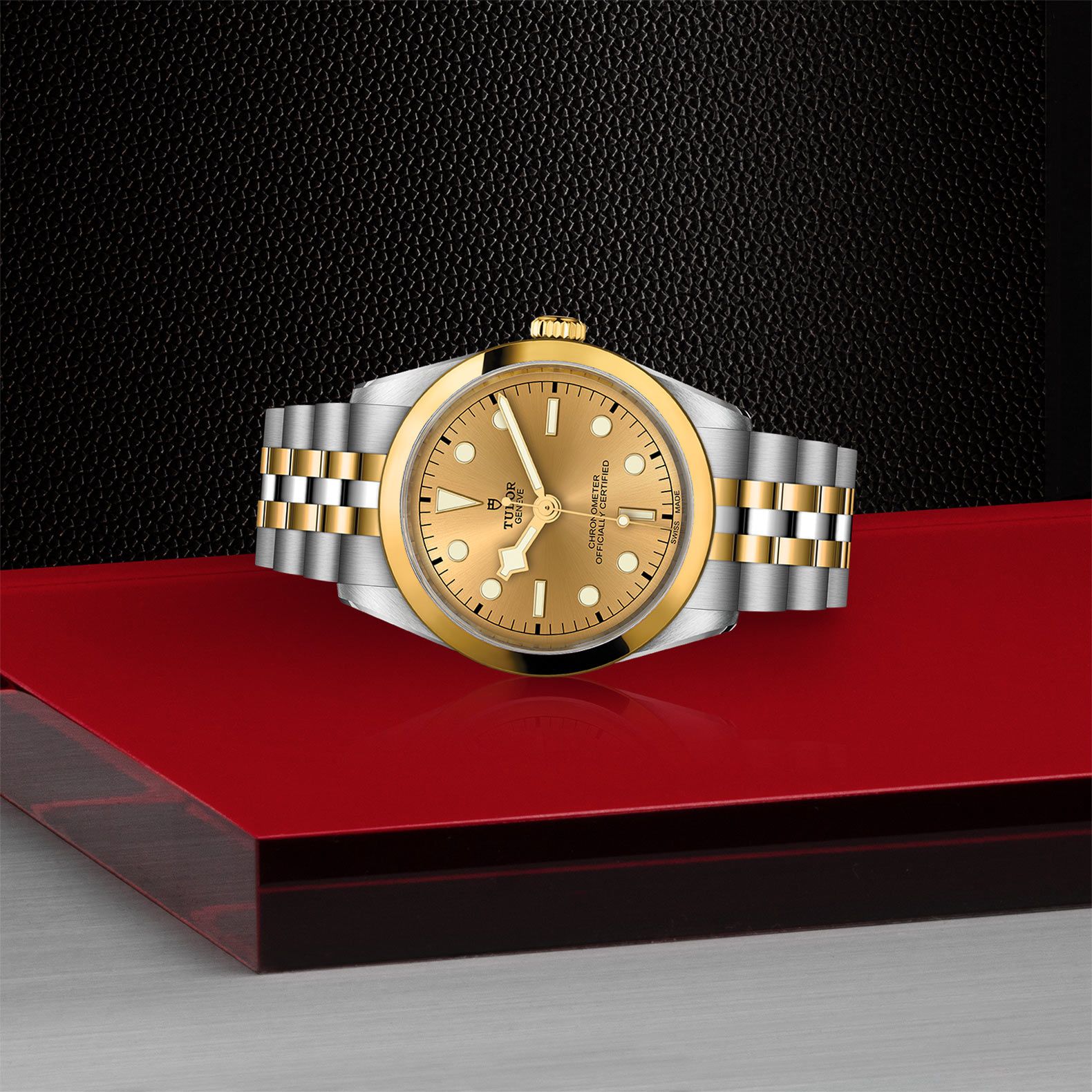 TUDOR Black Bay 36 S&G 36 MM M79643-0005