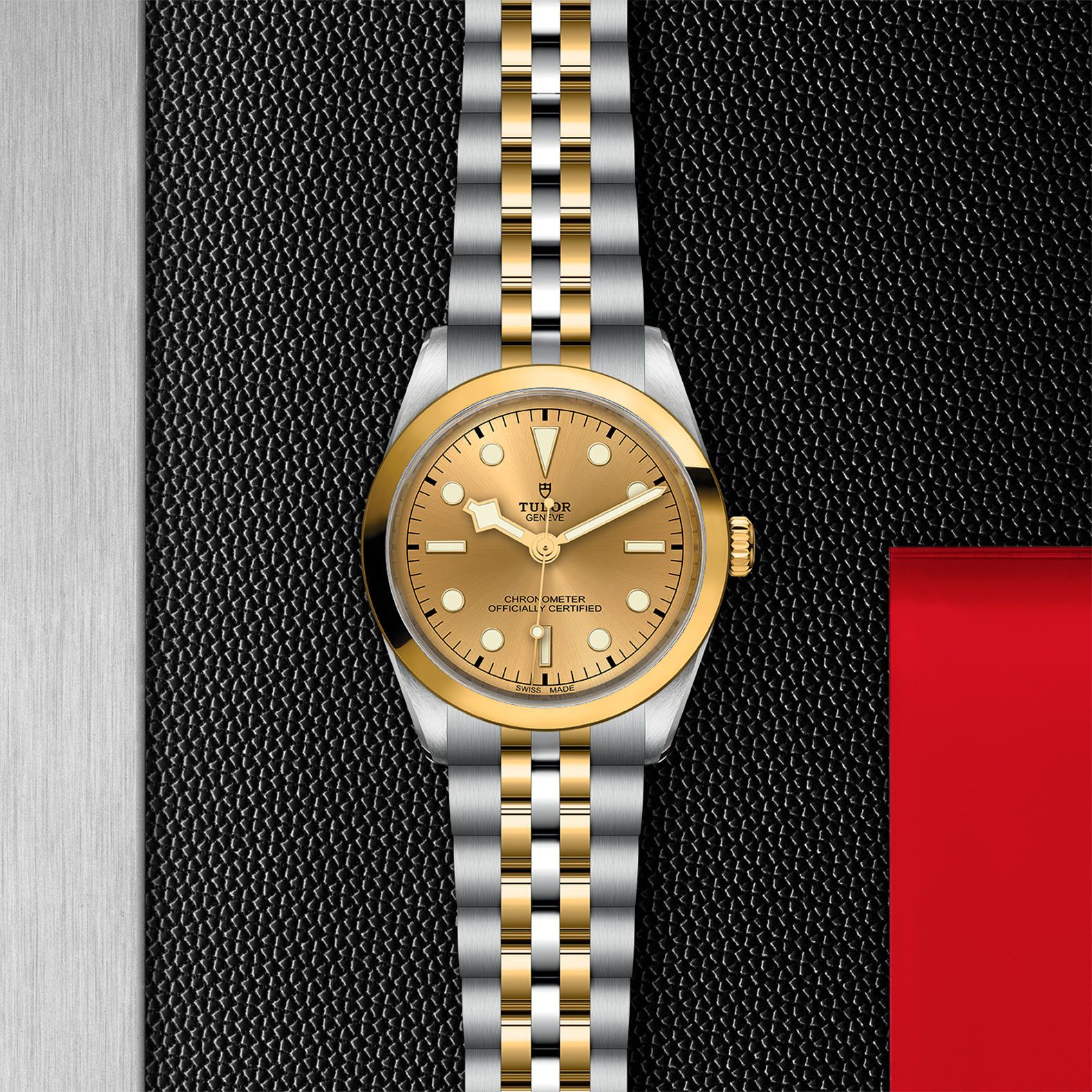 TUDOR Black Bay 36 S&G 36 MM M79643-0005