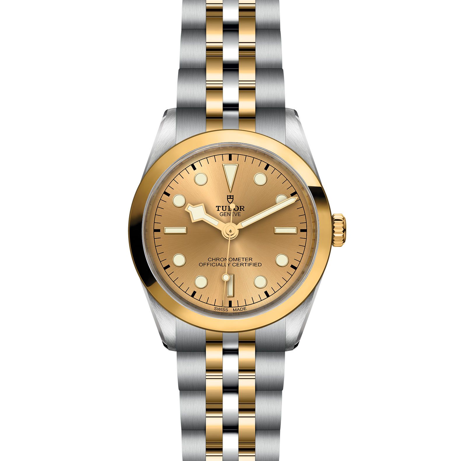 TUDOR Black Bay 36 S&G 36 MM M79643-0005