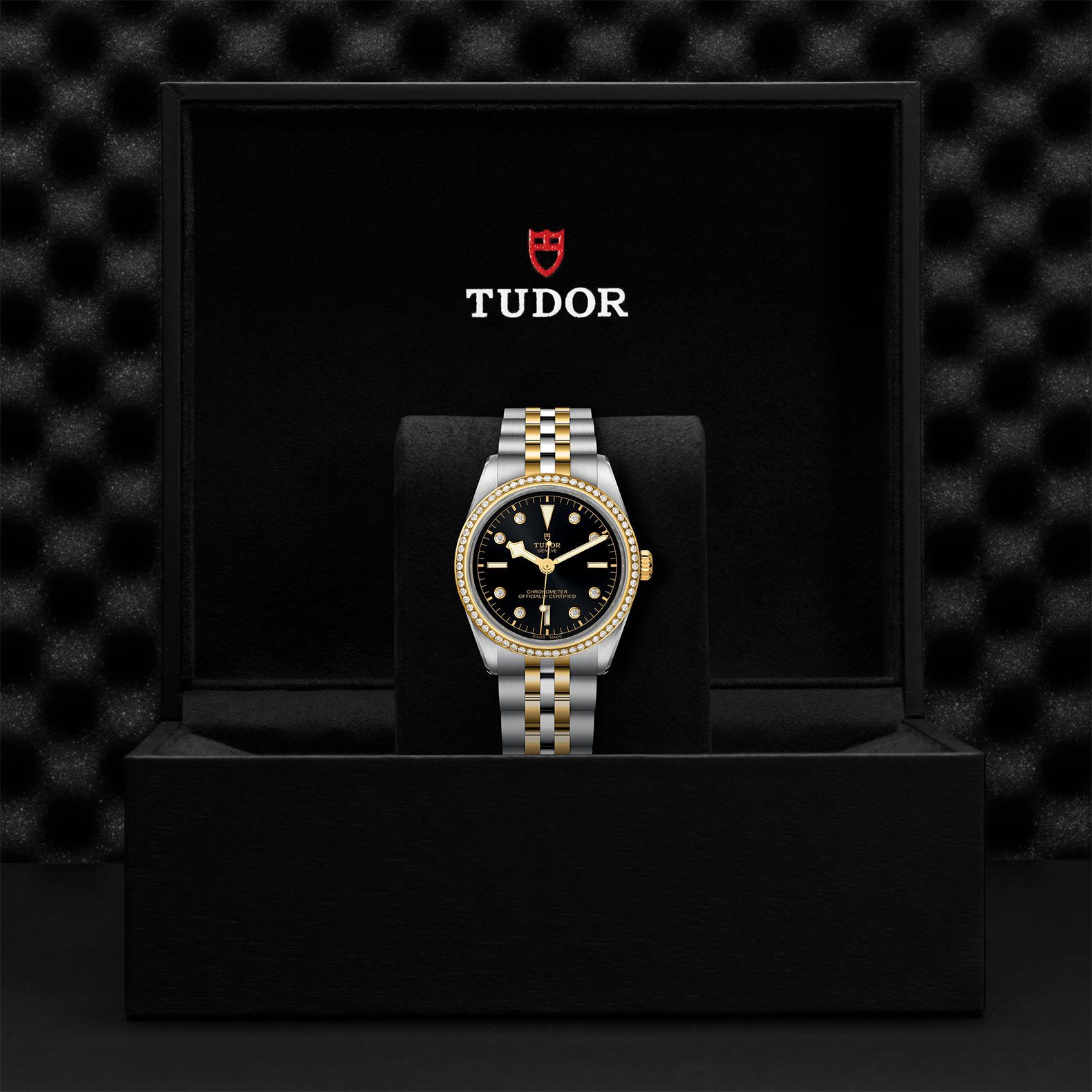 TUDOR Black Bay 36 S&G 36 MM M79653-0005