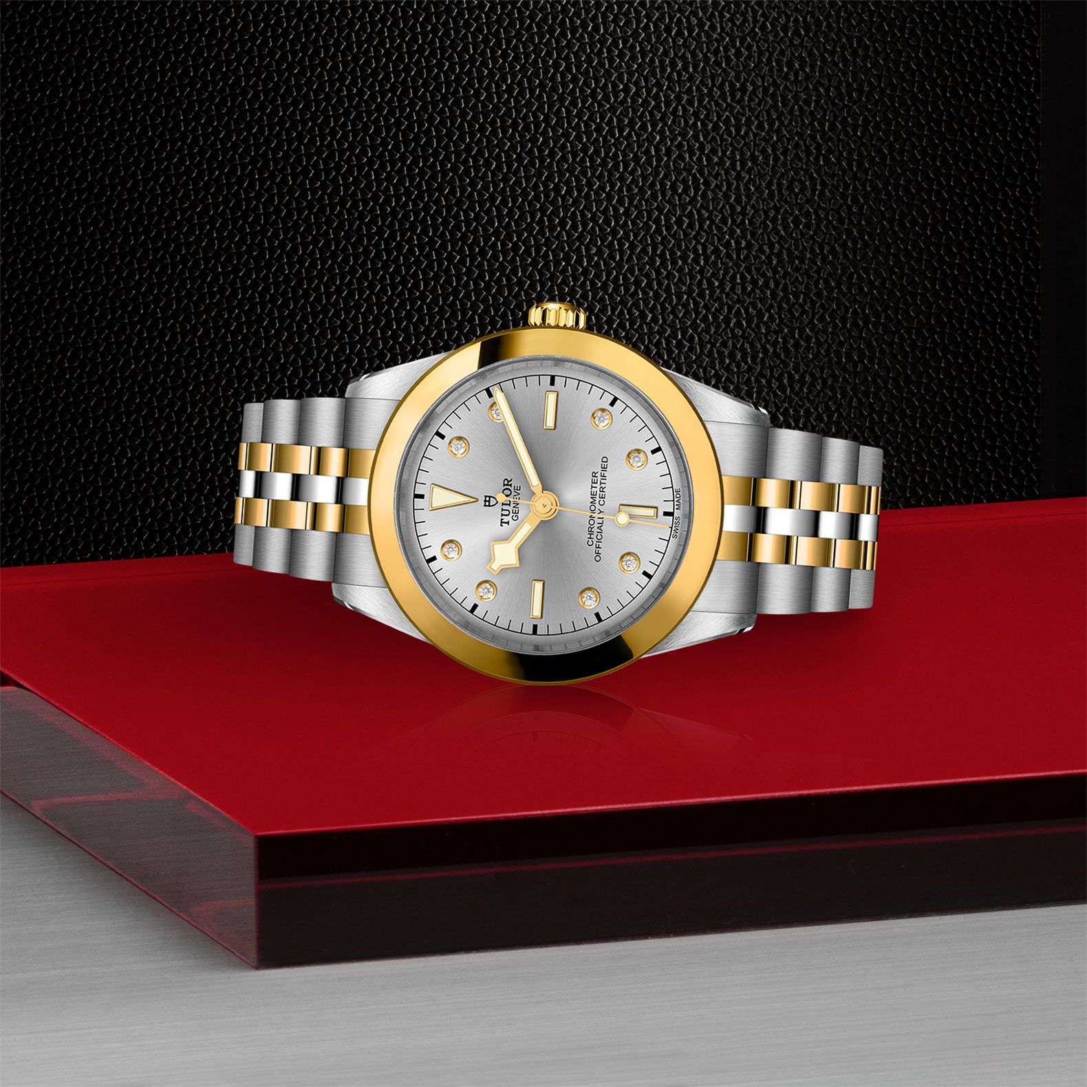 TUDOR Black Bay 39 S&G 39 MM M79663-0007