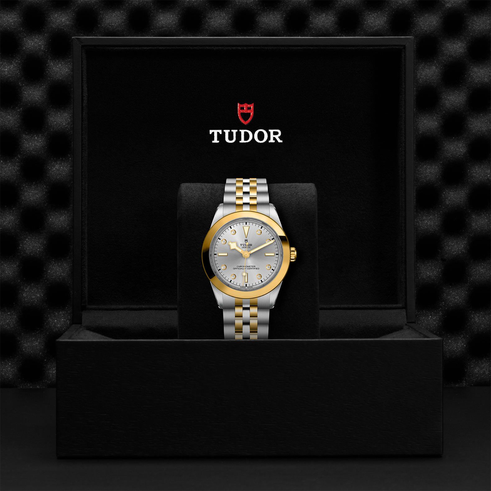 TUDOR Black Bay 39 S&G 39 MM M79663-0007