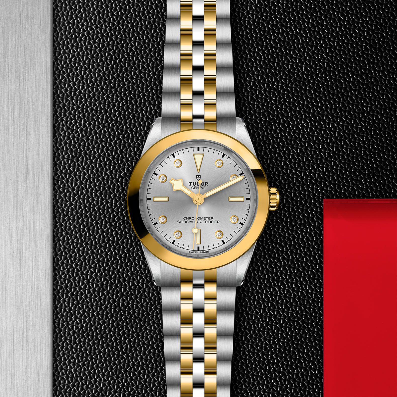 TUDOR Black Bay 39 S&G 39 MM M79663-0007