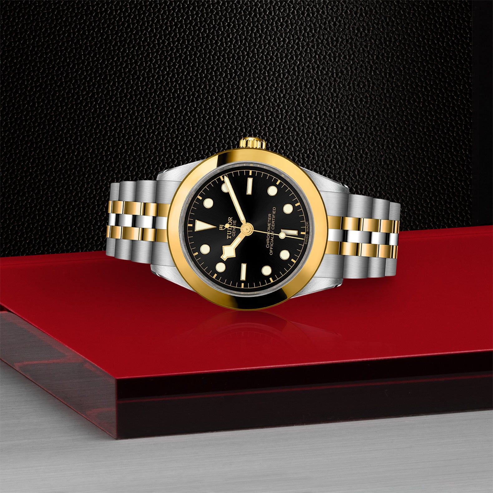 TUDOR Black Bay 39 S&G 39 MM M79663-0001