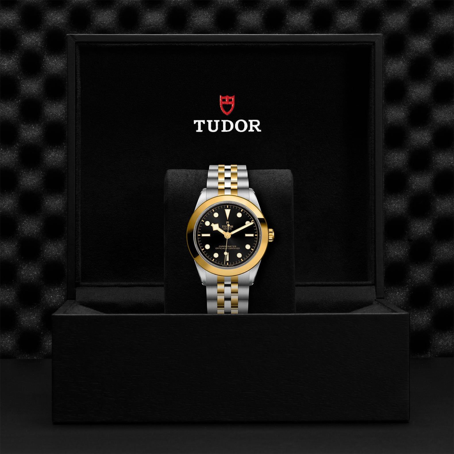TUDOR Black Bay 39 S&G 39 MM M79663-0001