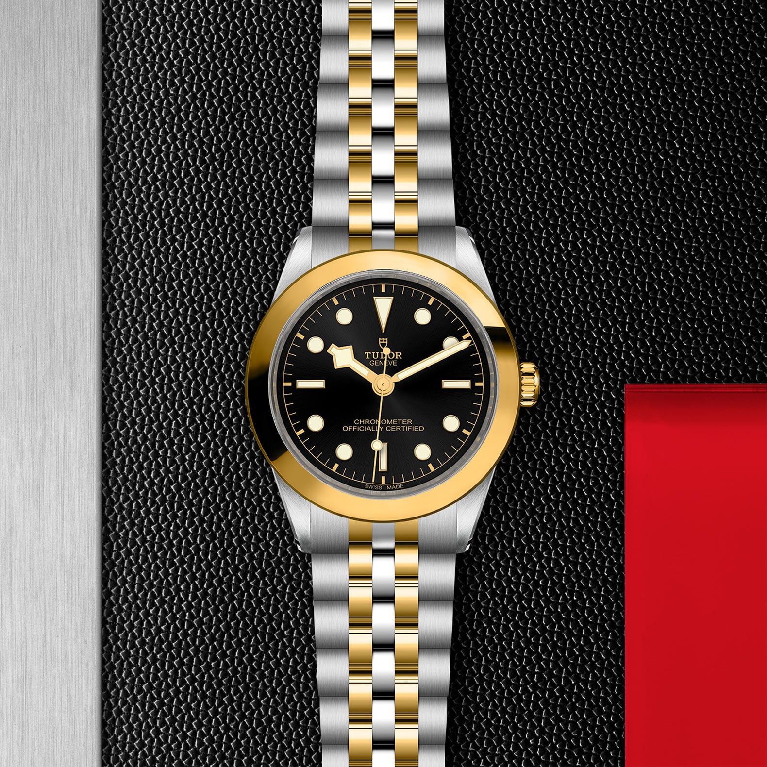 TUDOR Black Bay 39 S&G 39 MM M79663-0001
