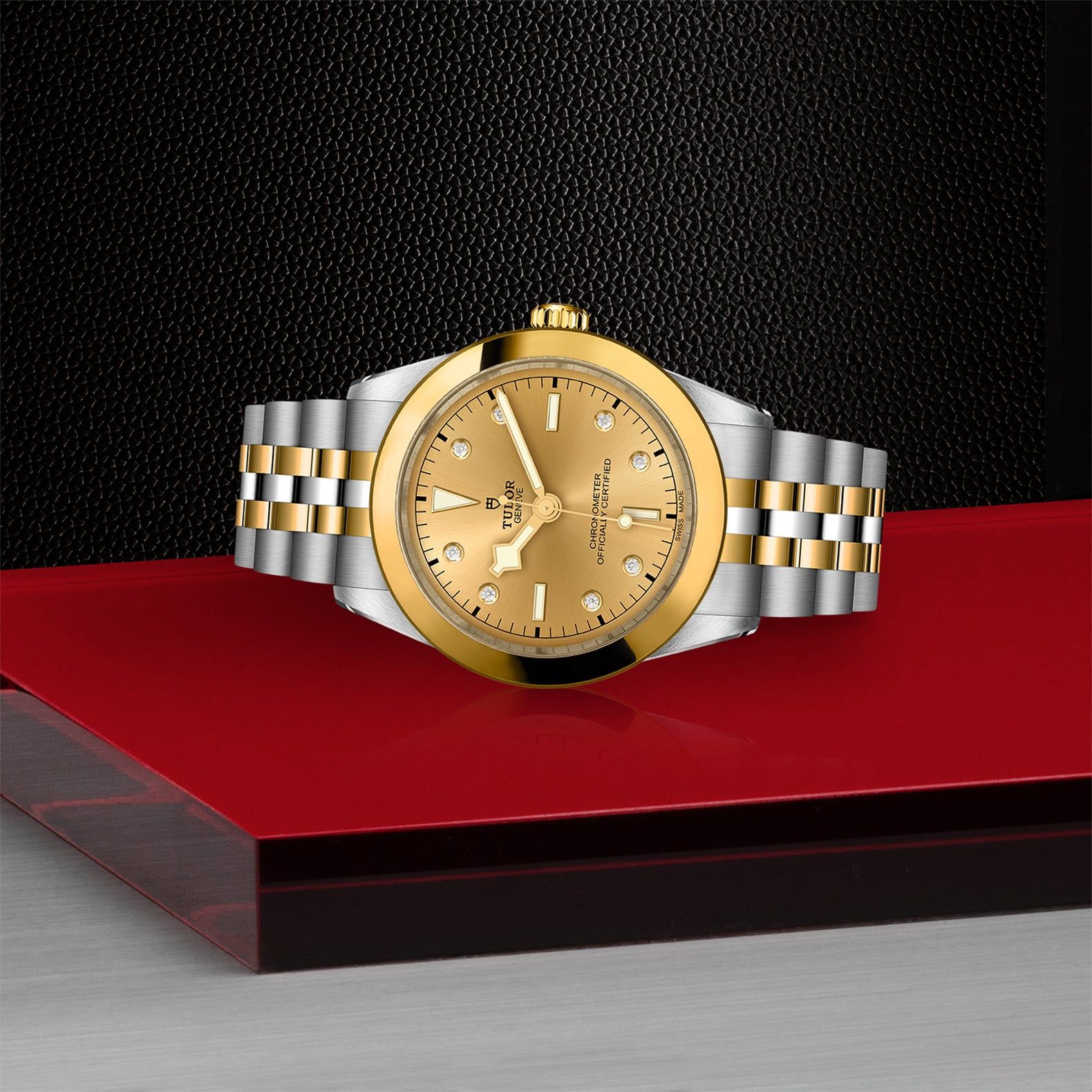 TUDOR Black Bay 39 S&G 39 MM M79663-0008
