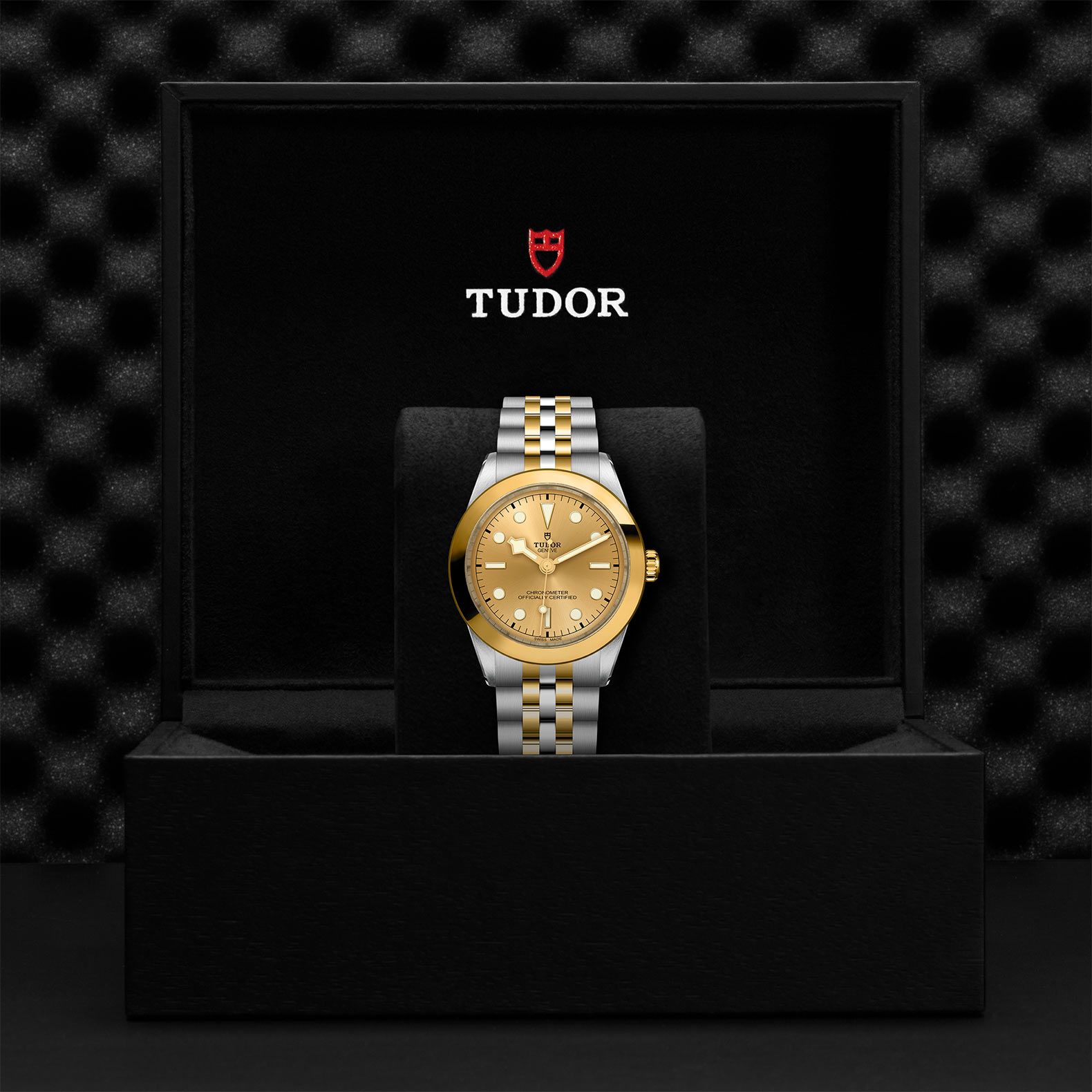 TUDOR Black Bay 39 S&G 39 MM M79663-0005