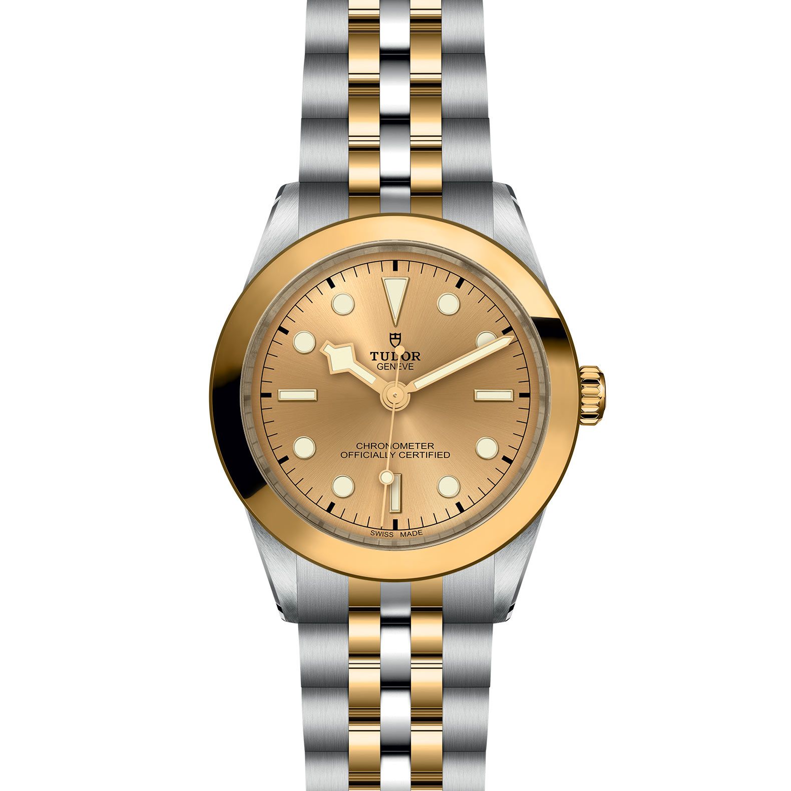 TUDOR Black Bay 39 S&G 39 MM M79663-0005