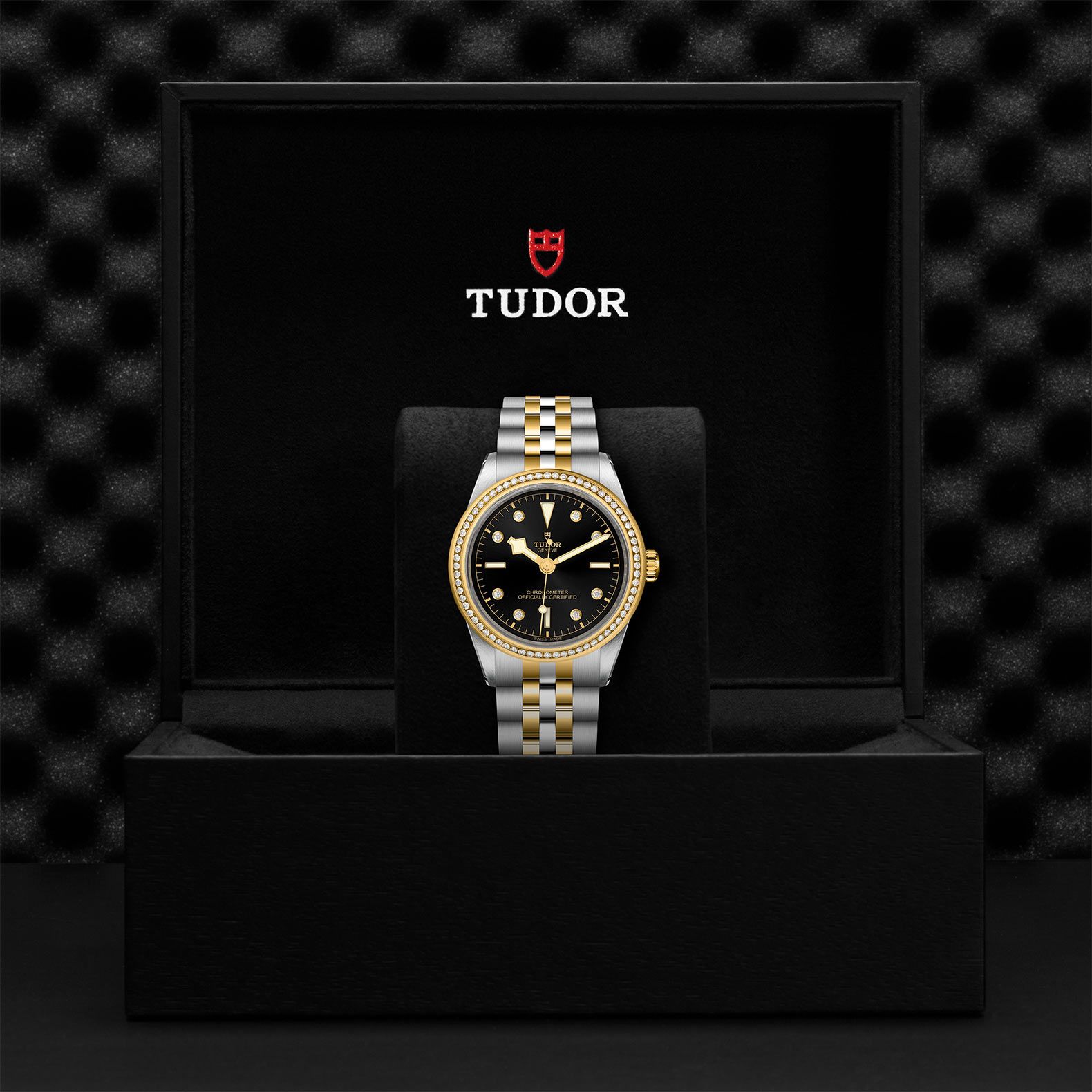TUDOR Black Bay 39 S&G 39 MM M79673-0005