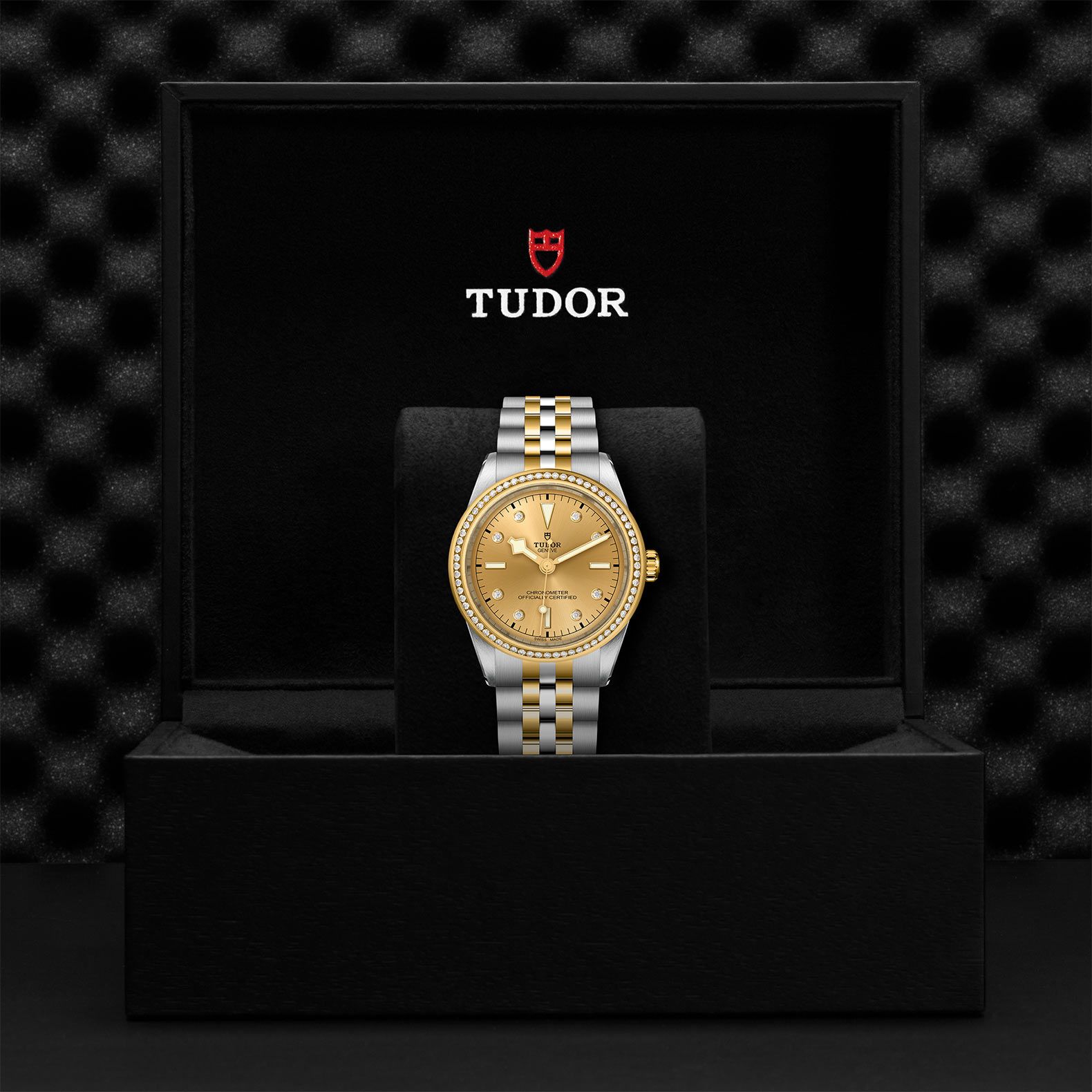 TUDOR Black Bay 39 S&G 39 MM M79673-0007