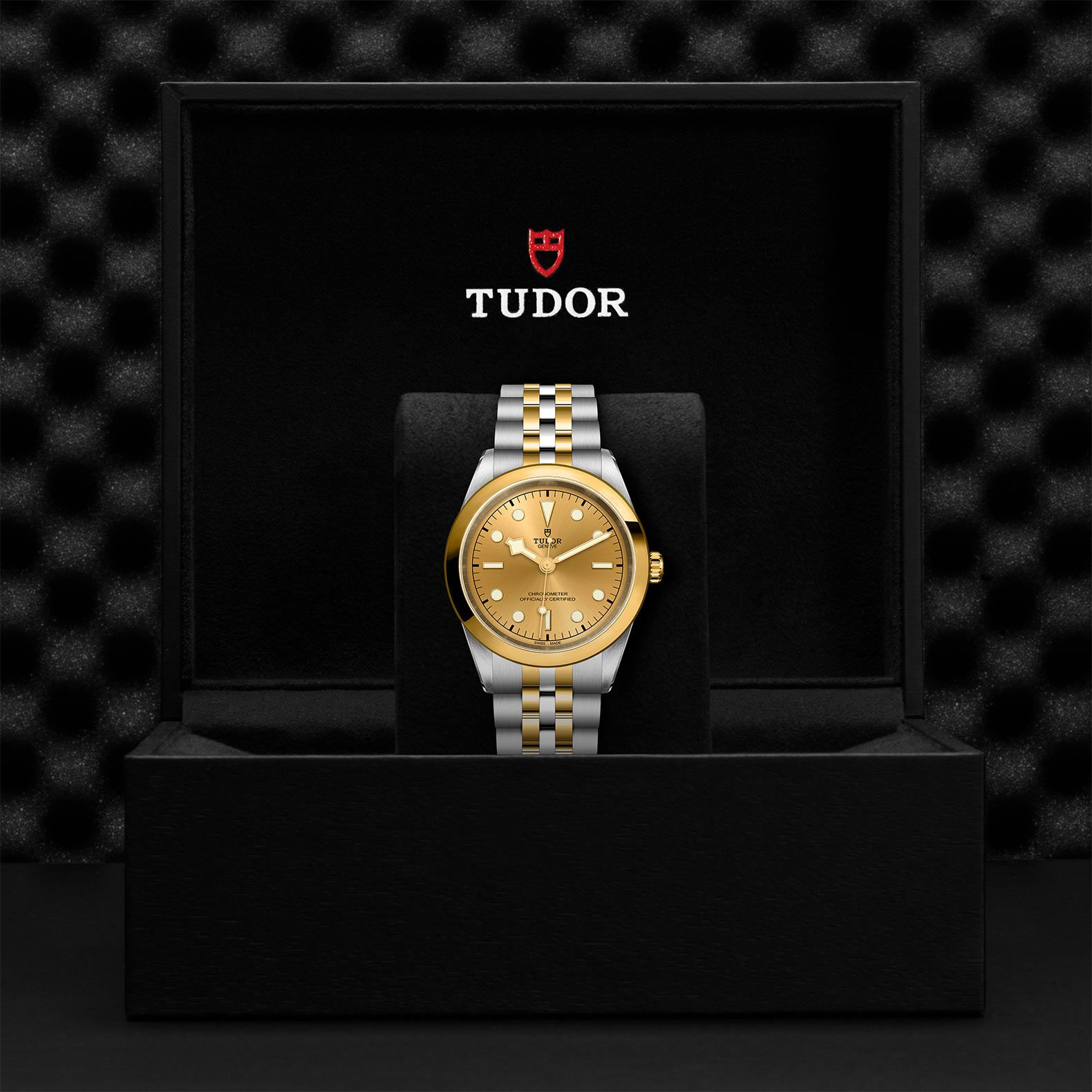 TUDOR Black Bay 41 S&G 41 MM M79683-0005