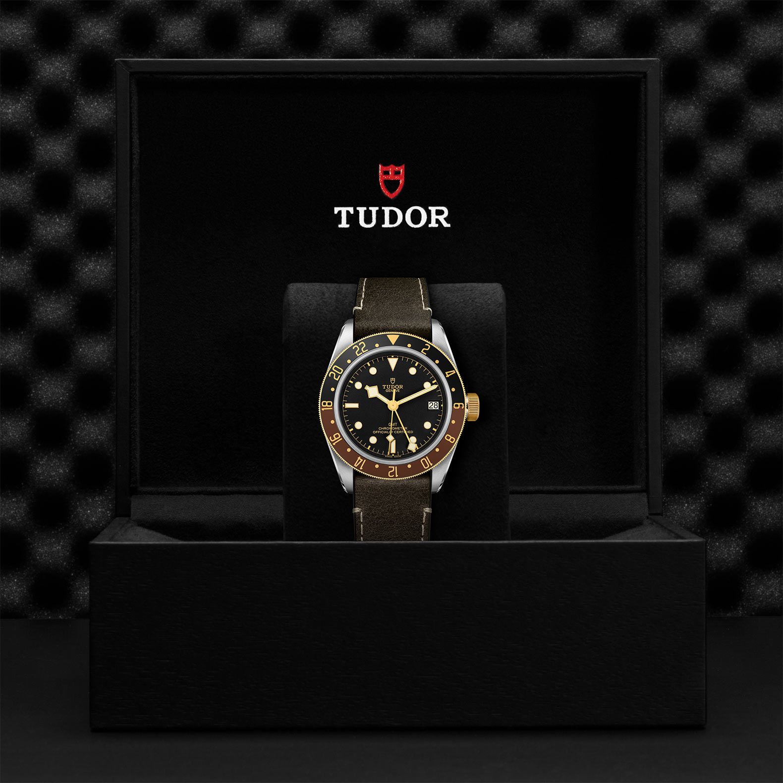 TUDOR Black Bay Gmt S&G 41 MM M79833MN-0003