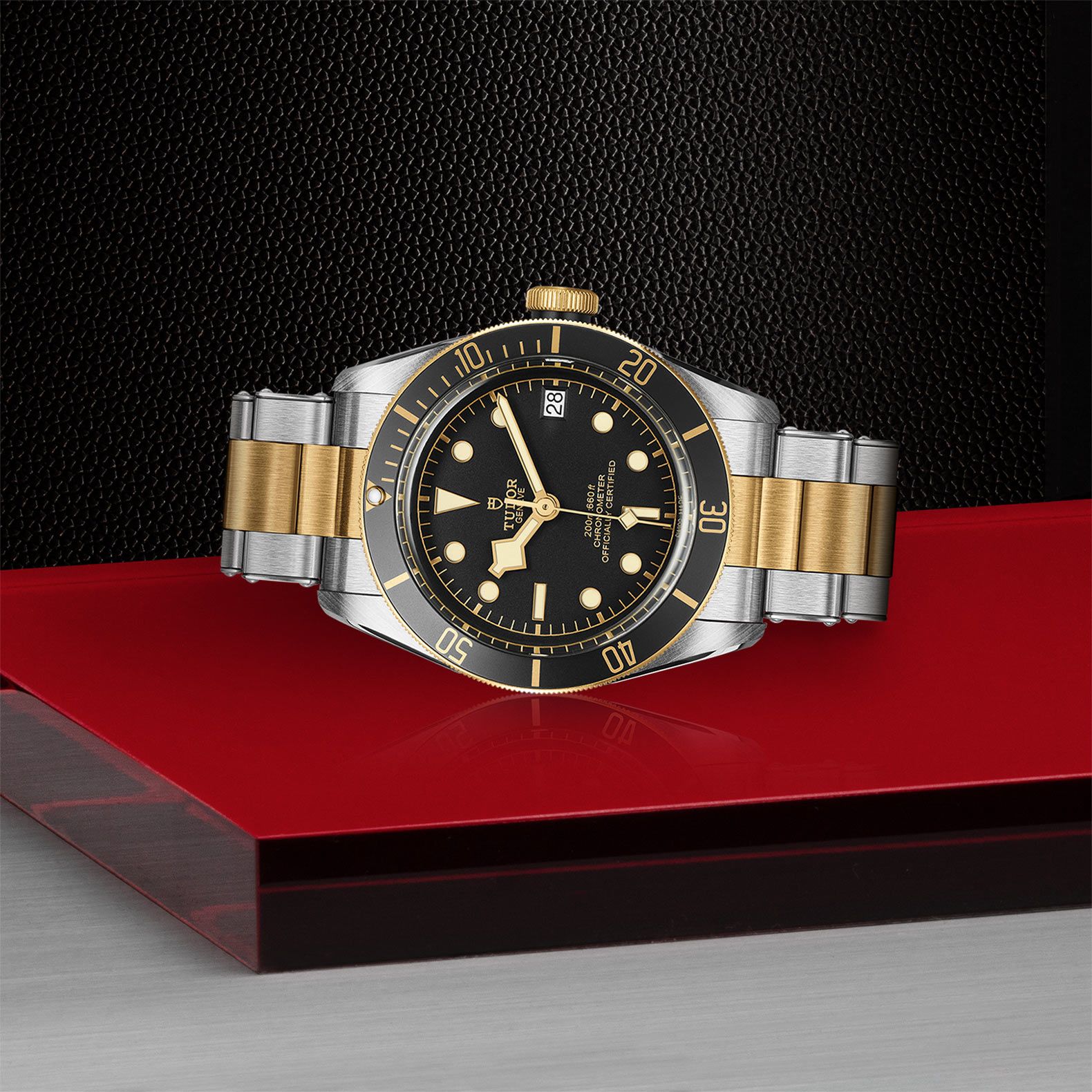 TUDOR Black Bay S&G 41 MM M79733N-0008